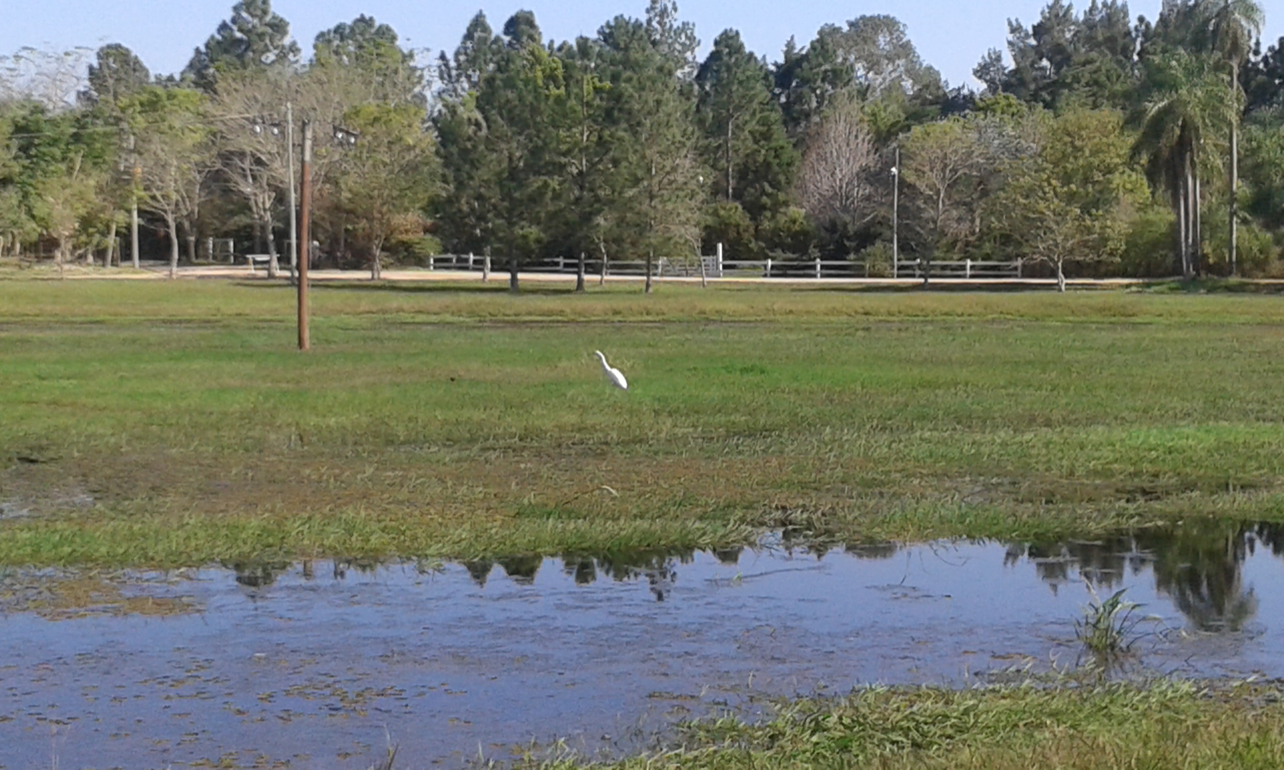 RC-Vende Unico lote frente a reserva ecológica en Santa Ana Corrientes - 4