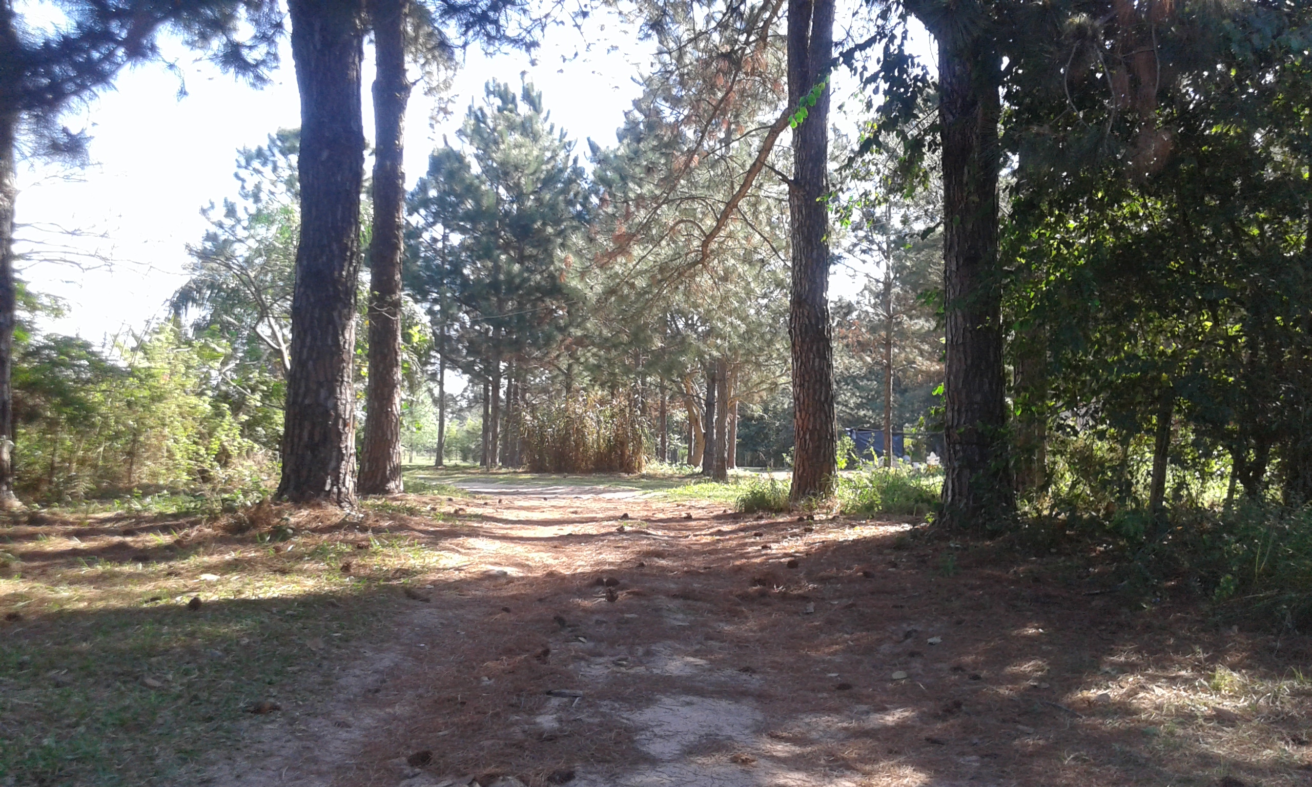 RC-Vende Unico lote frente a reserva ecológica en Santa Ana Corrientes - 5