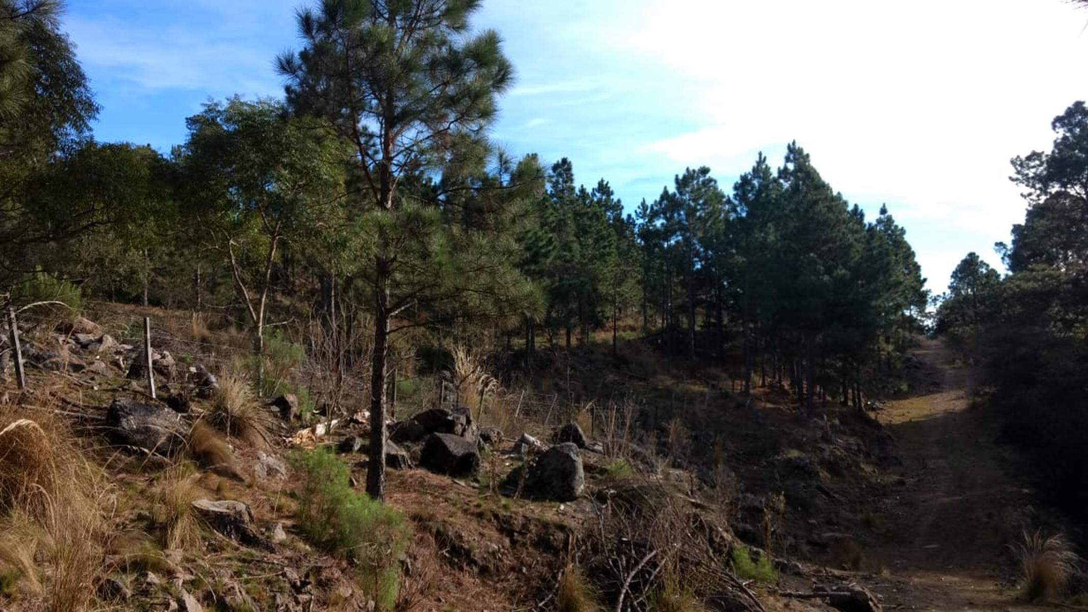 Excelentes fracciones de una hectárea camino a Cumbrecita — foto 3