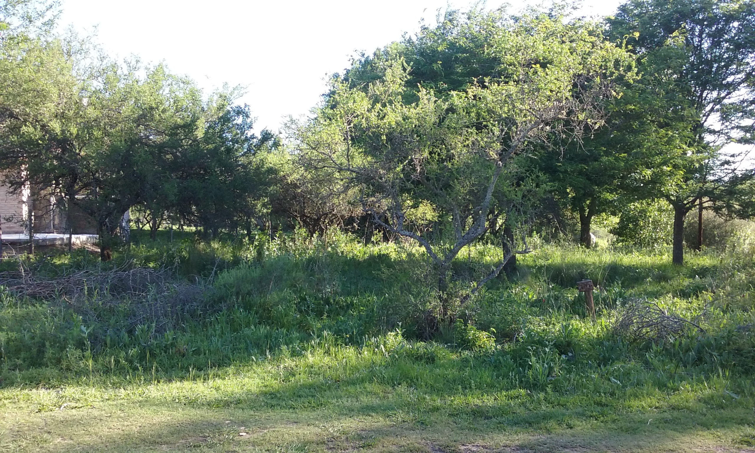 Lote en Villa General Belgrano — foto 2