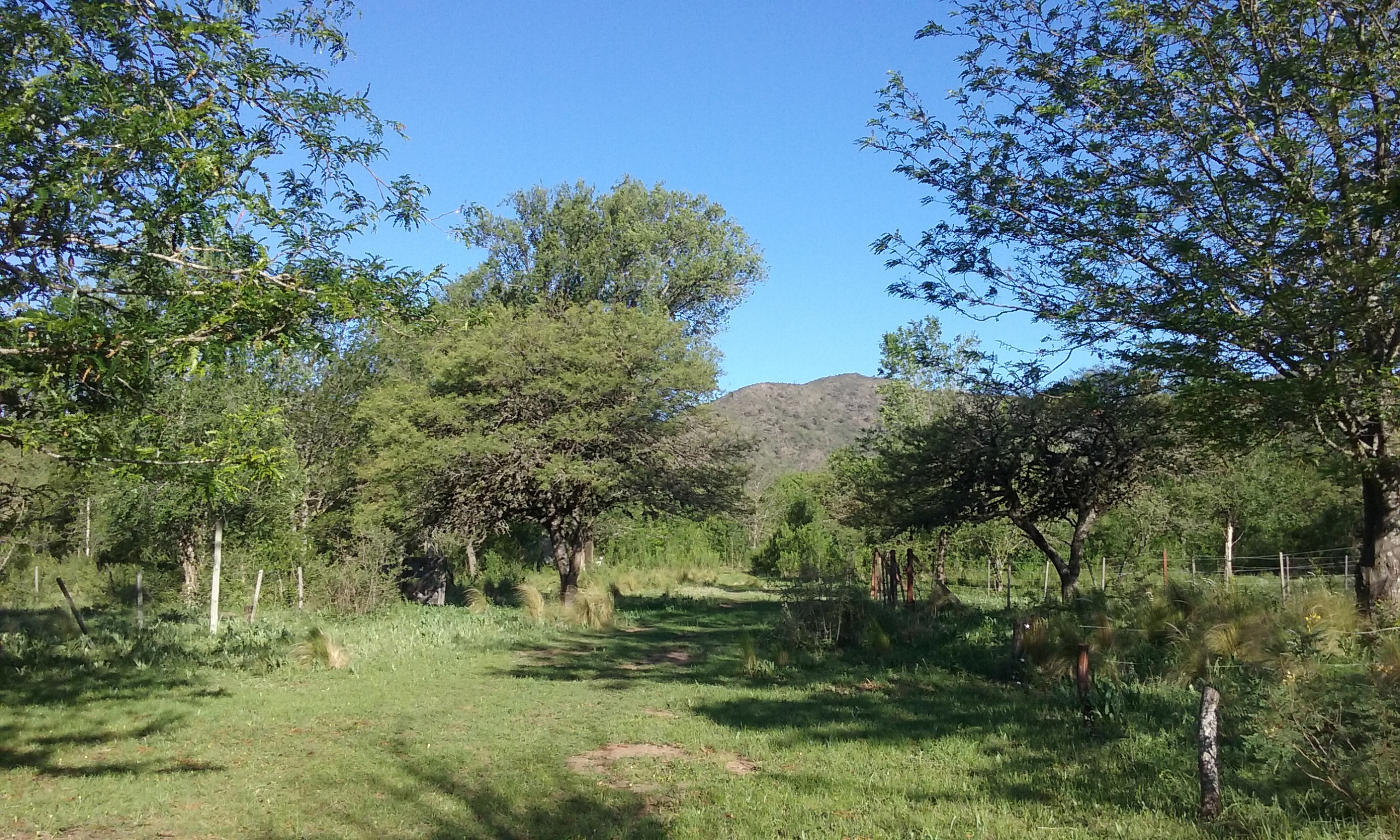 Lote en Villa General Belgrano — foto 3