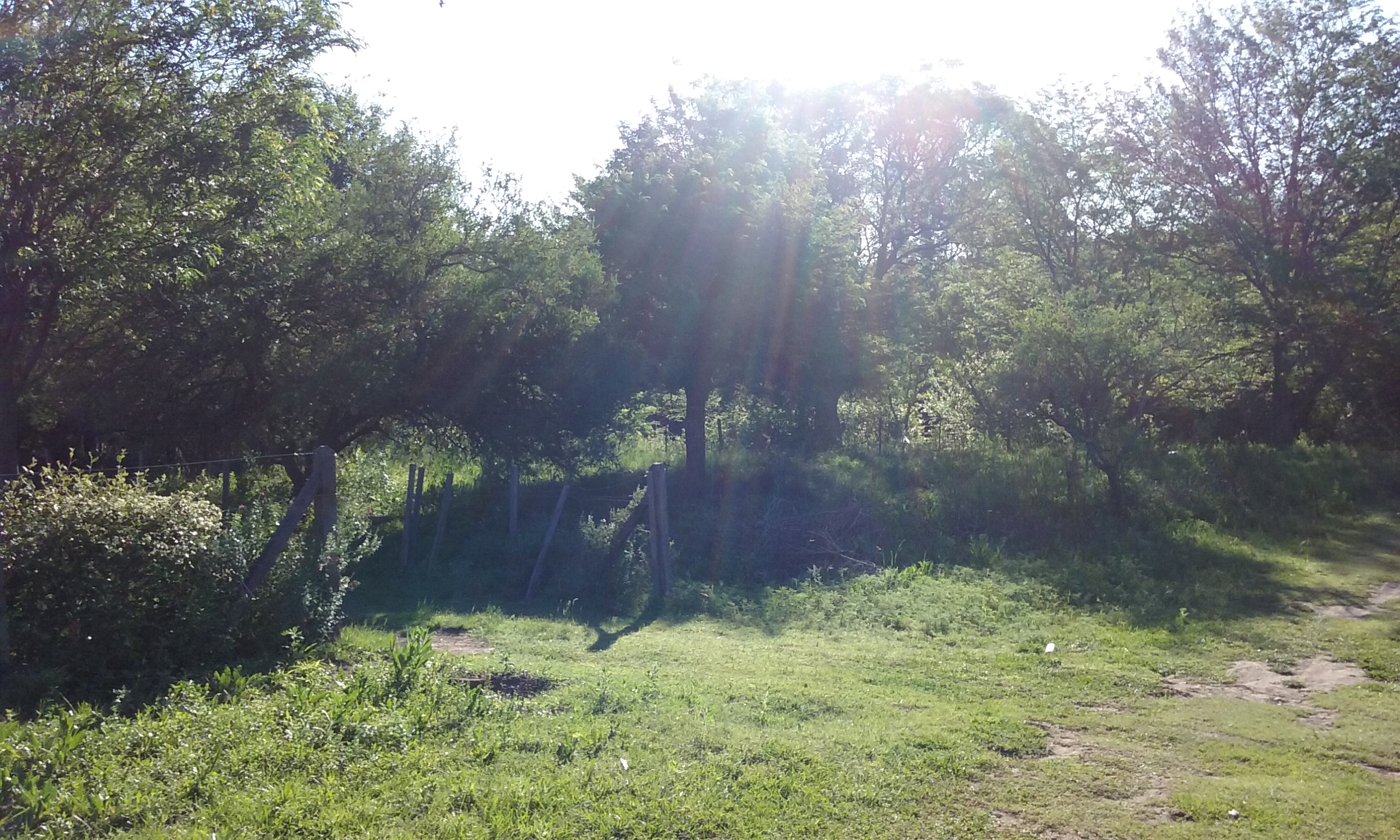 Lote en Villa General Belgrano — foto 8