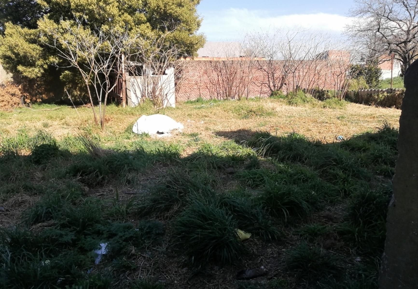 VENDO GALPON C/DEPTO NUEVO EN QUEQUEN - 29