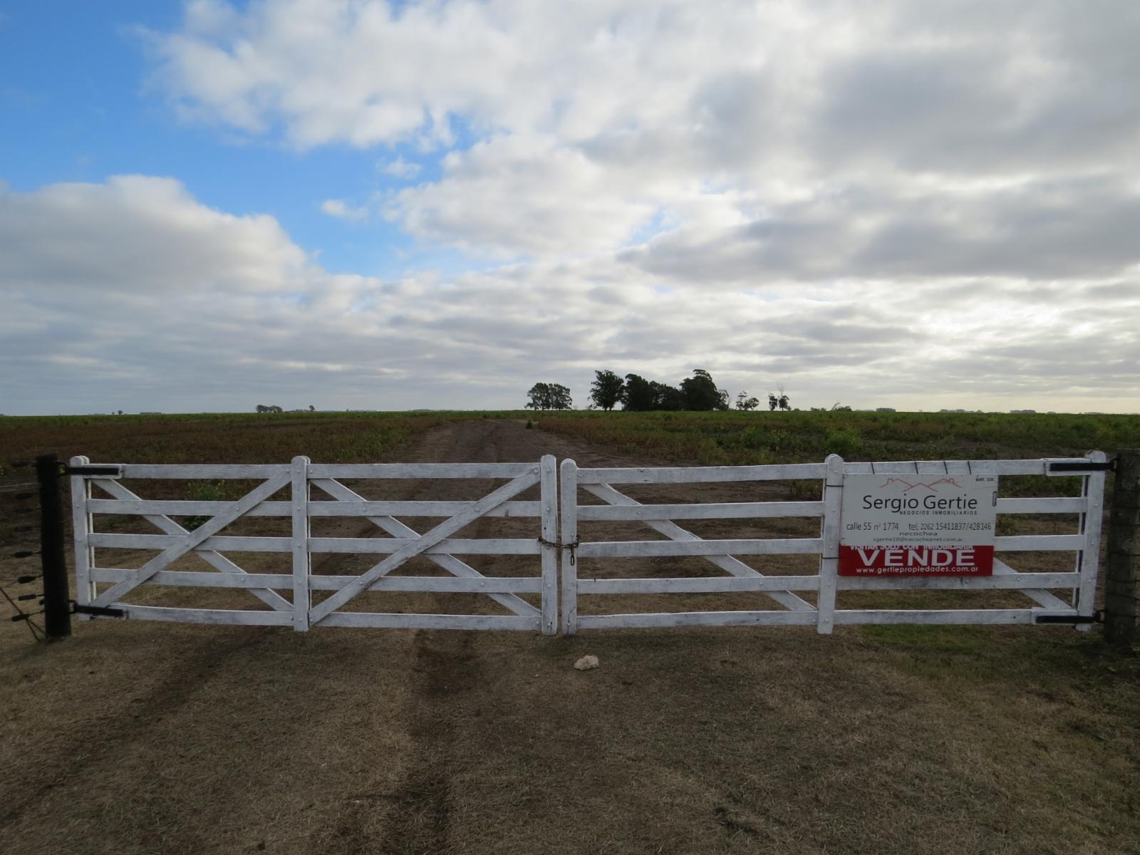 VENDO 178 HAS DE CAMPO MIXTO EN JUAN N FERNANDEZ - 1