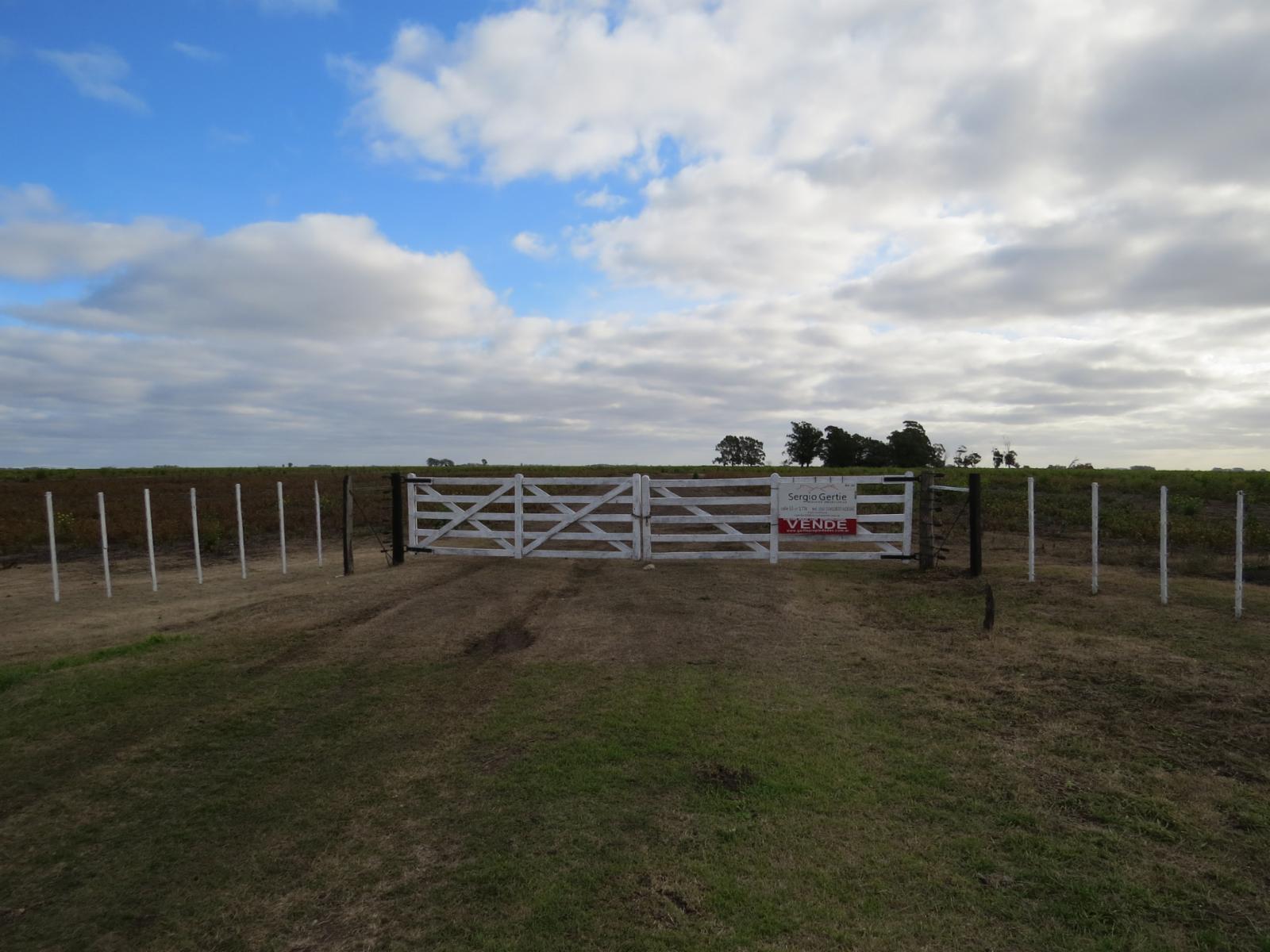 VENDO 178 HAS DE CAMPO MIXTO EN JUAN N FERNANDEZ - 2