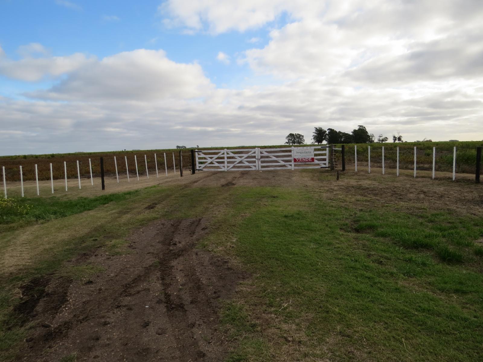 VENDO 178 HAS DE CAMPO MIXTO EN JUAN N FERNANDEZ - 3