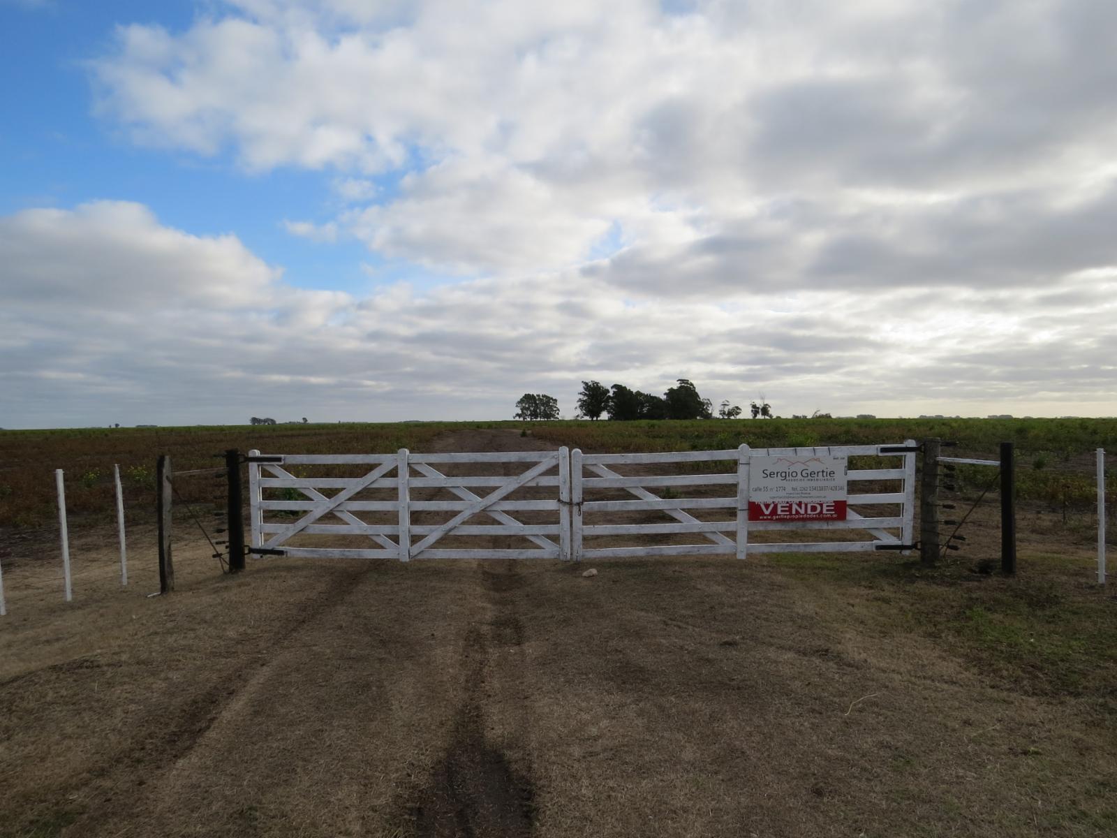 VENDO 178 HAS DE CAMPO MIXTO EN JUAN N FERNANDEZ - 4