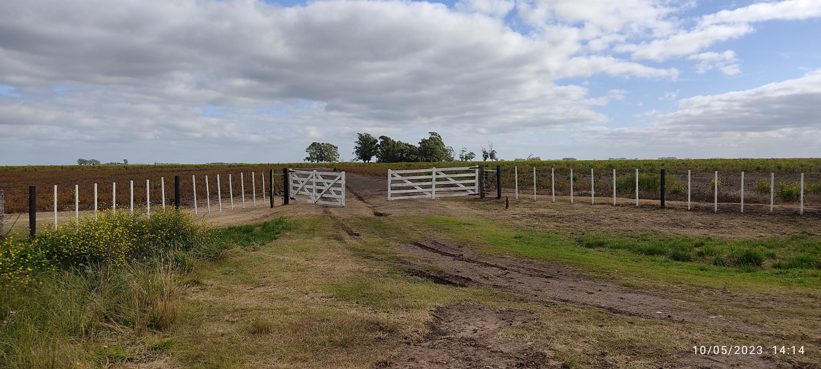 VENDO 178 HAS DE CAMPO MIXTO EN JUAN N FERNANDEZ - 5