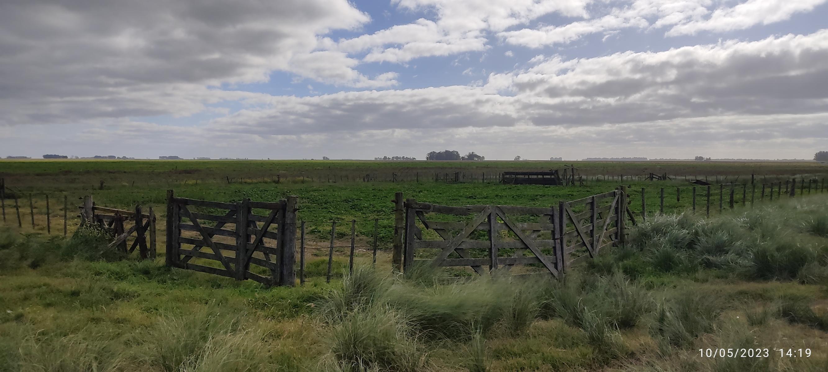 VENDO 178 HAS DE CAMPO MIXTO EN JUAN N FERNANDEZ - 11