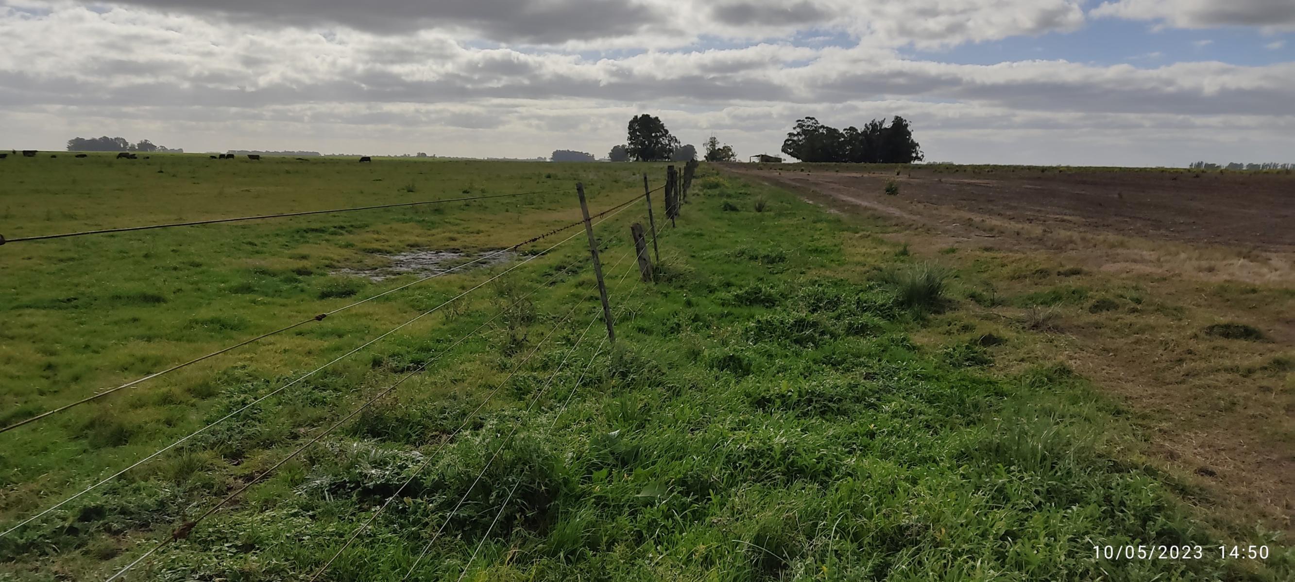 VENDO 178 HAS DE CAMPO MIXTO EN JUAN N FERNANDEZ - 20