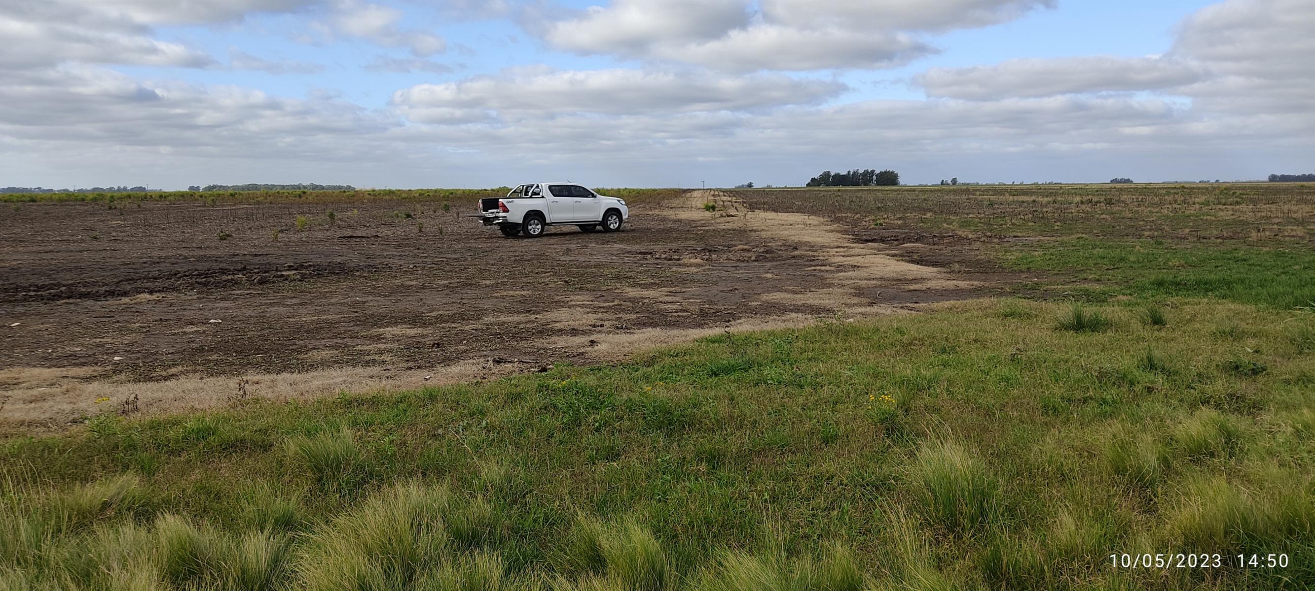 VENDO 178 HAS DE CAMPO MIXTO EN JUAN N FERNANDEZ - 24