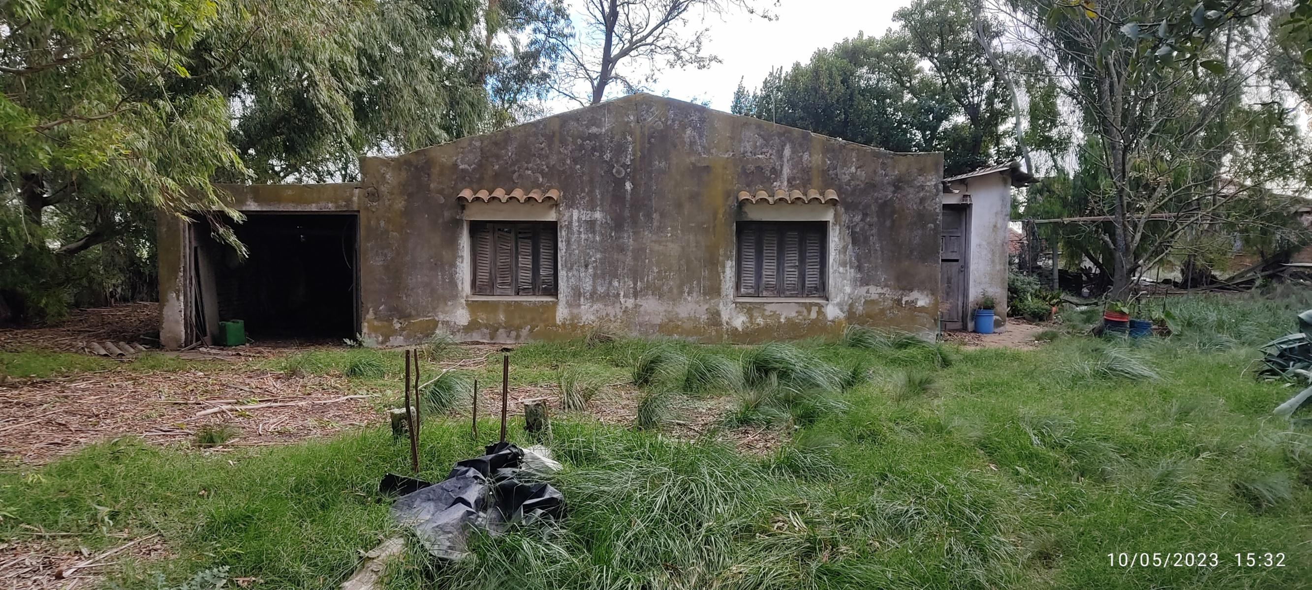 VENDO 178 HAS DE CAMPO MIXTO EN JUAN N FERNANDEZ - 49