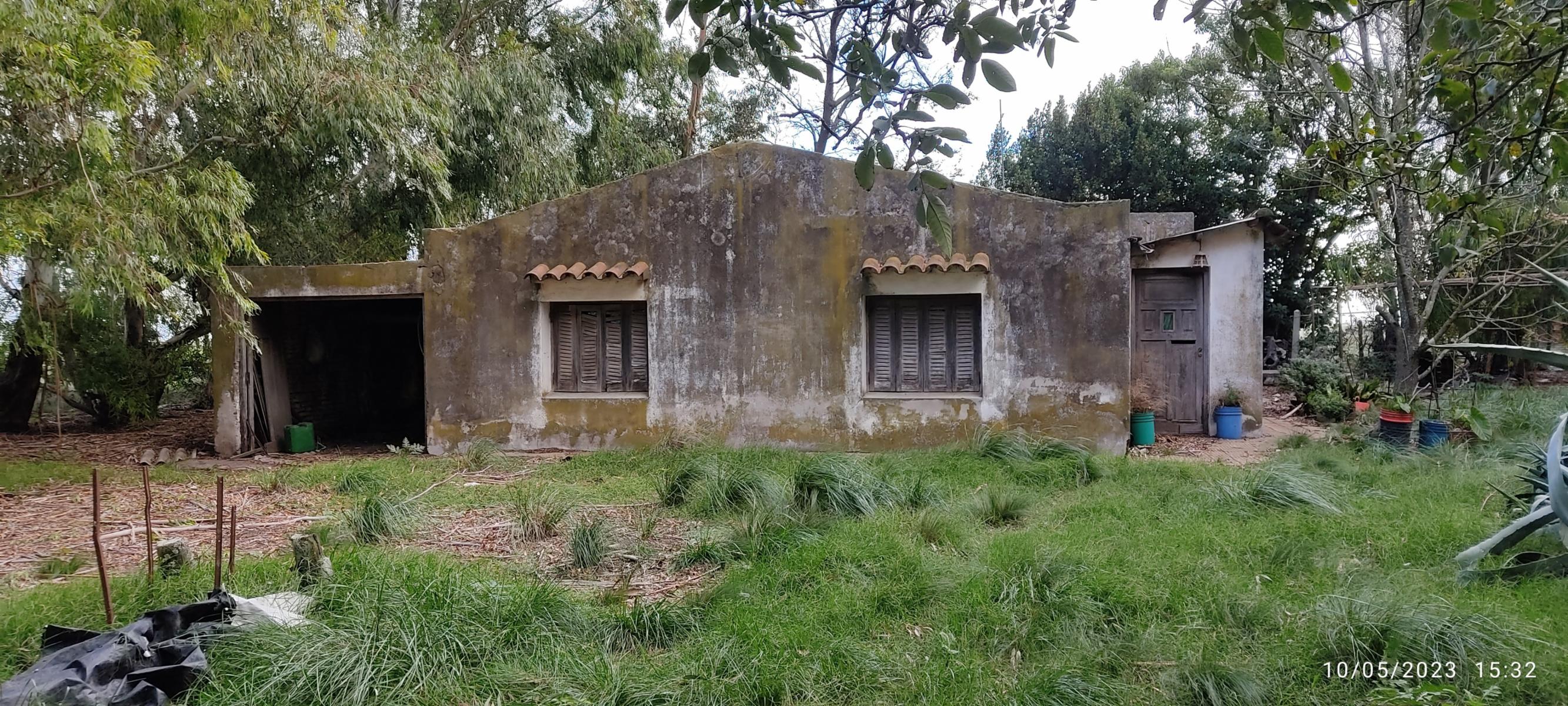 VENDO 178 HAS DE CAMPO MIXTO EN JUAN N FERNANDEZ - 50