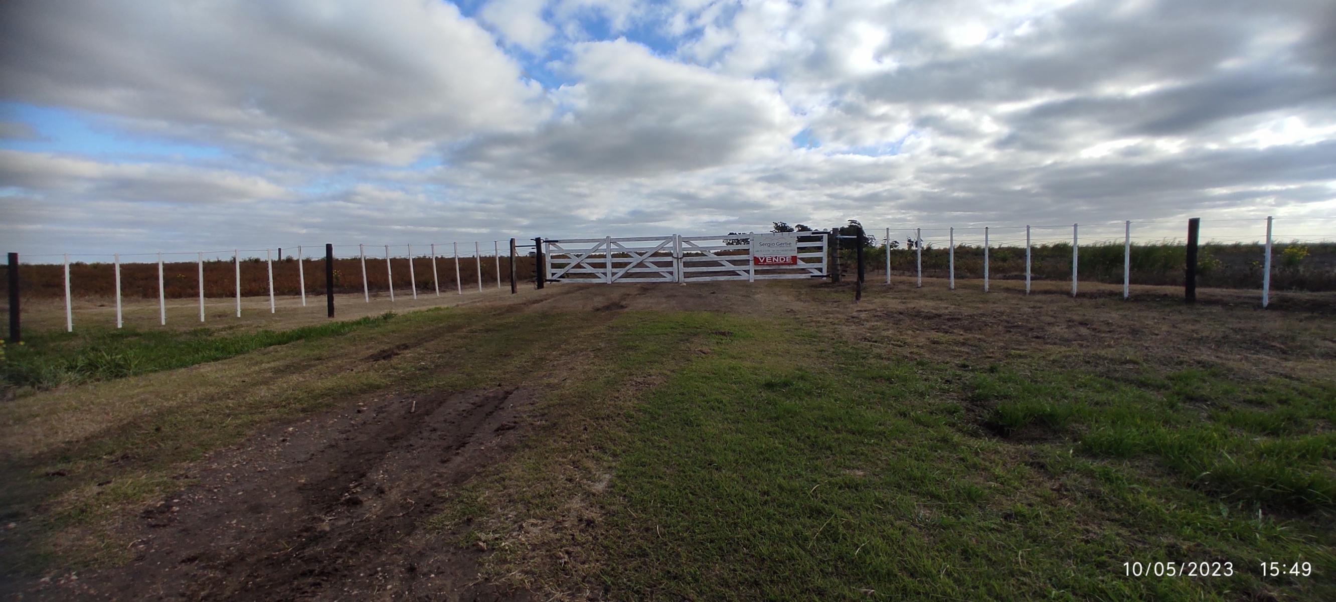 VENDO 178 HAS DE CAMPO MIXTO EN JUAN N FERNANDEZ - 51