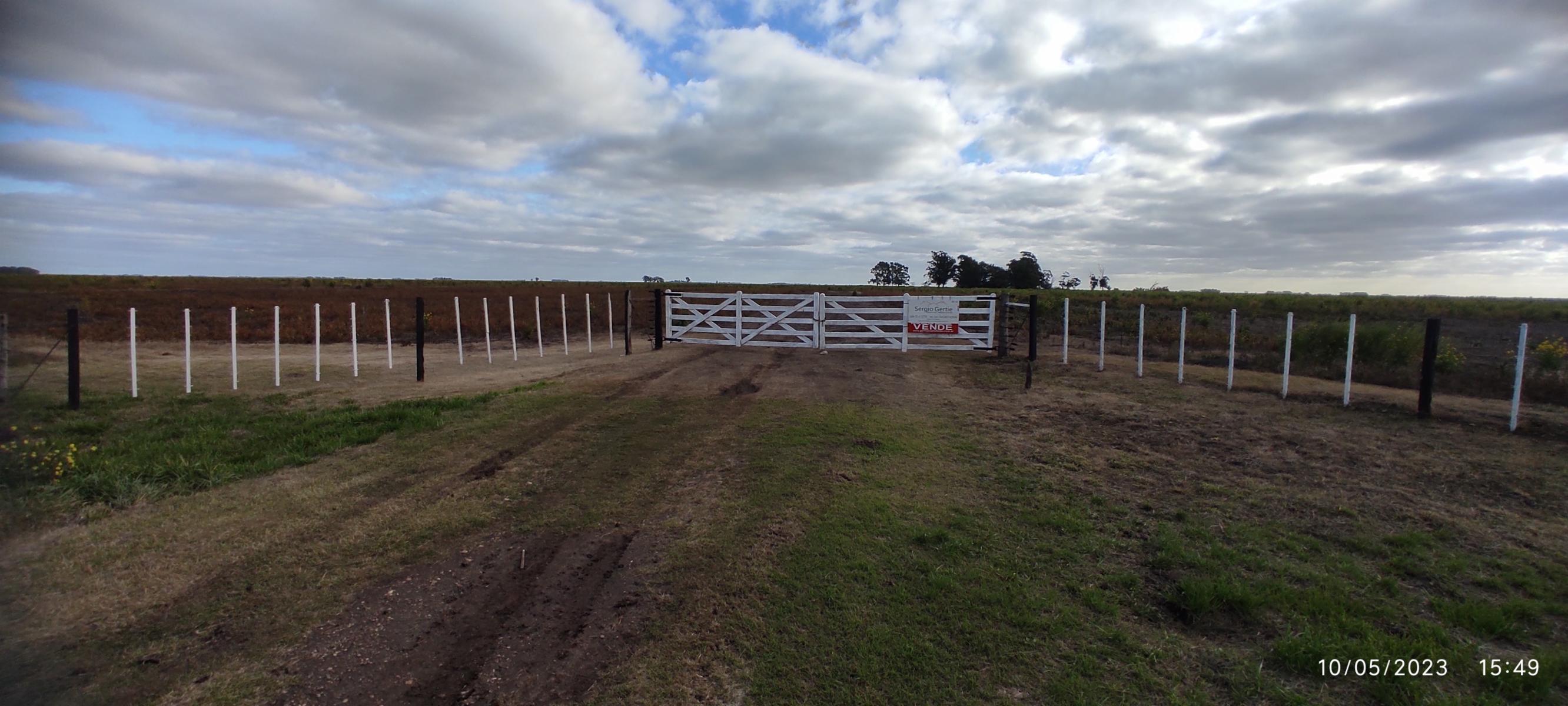 VENDO 178 HAS DE CAMPO MIXTO EN JUAN N FERNANDEZ - 54