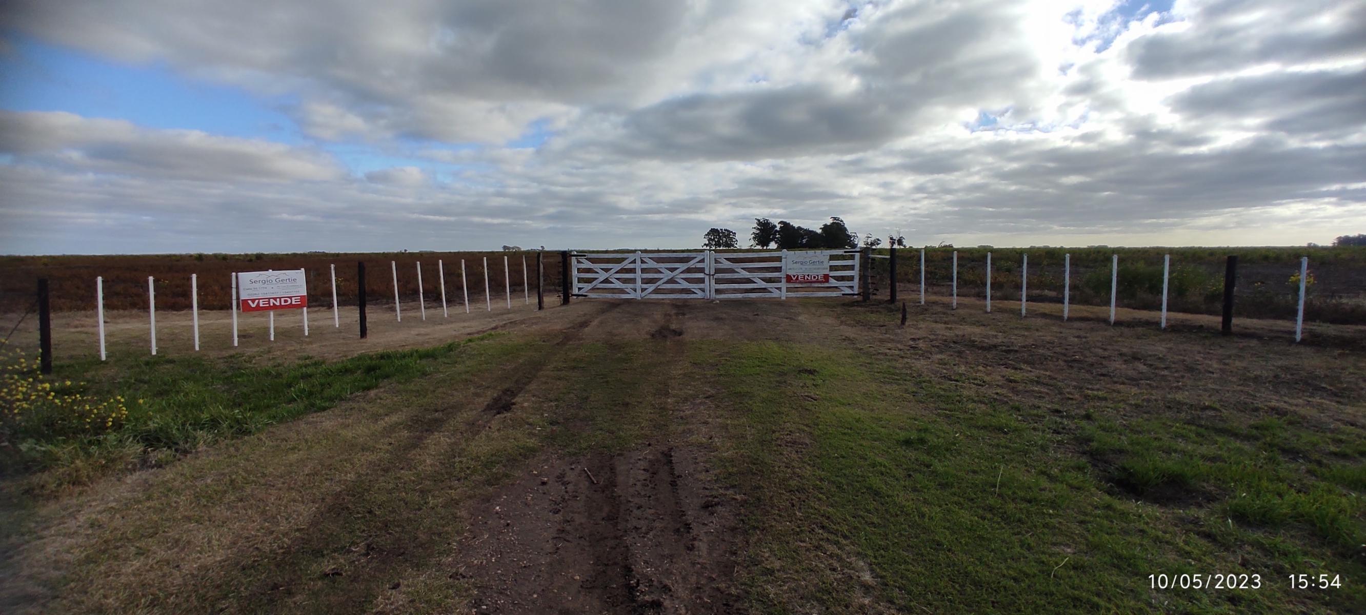 VENDO 178 HAS DE CAMPO MIXTO EN JUAN N FERNANDEZ - 55
