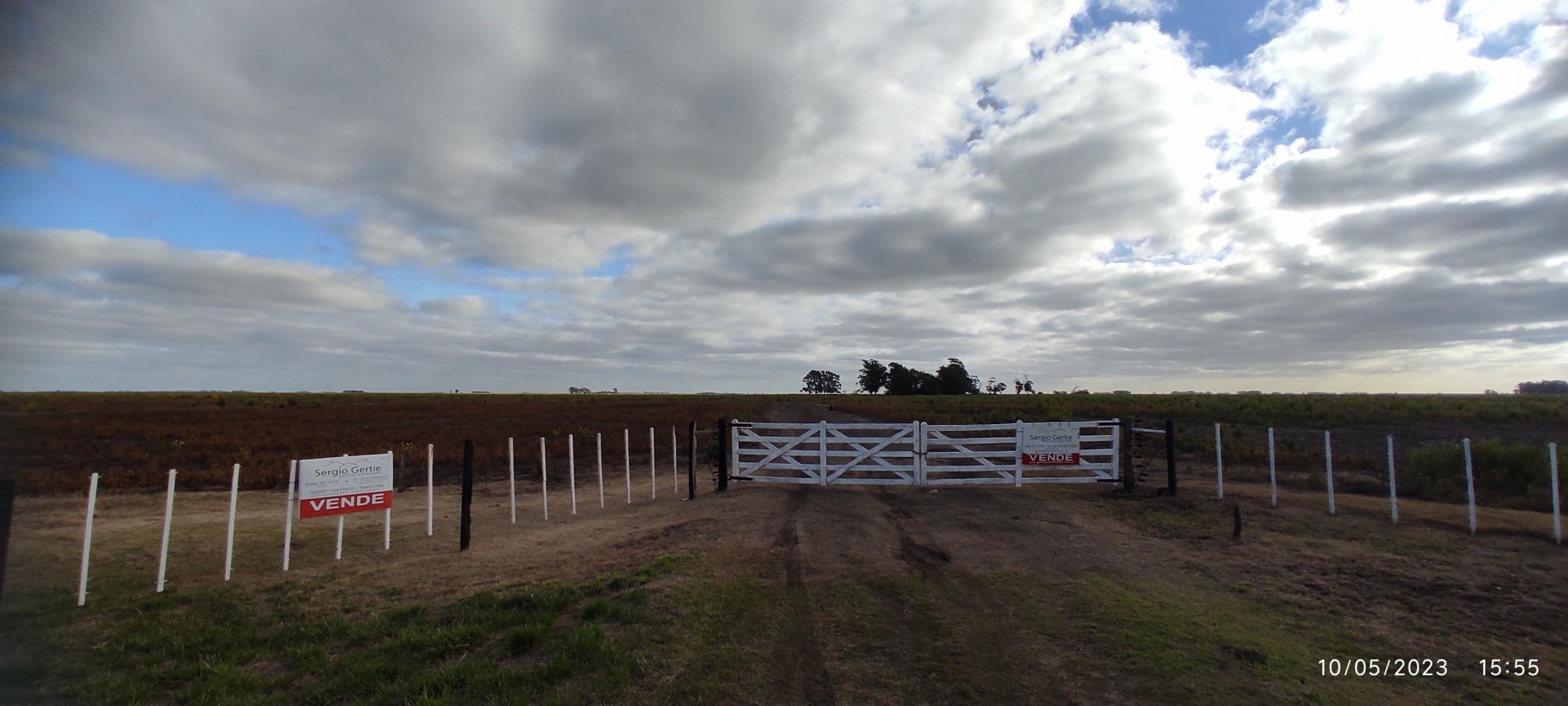 VENDO 178 HAS DE CAMPO MIXTO EN JUAN N FERNANDEZ - 56