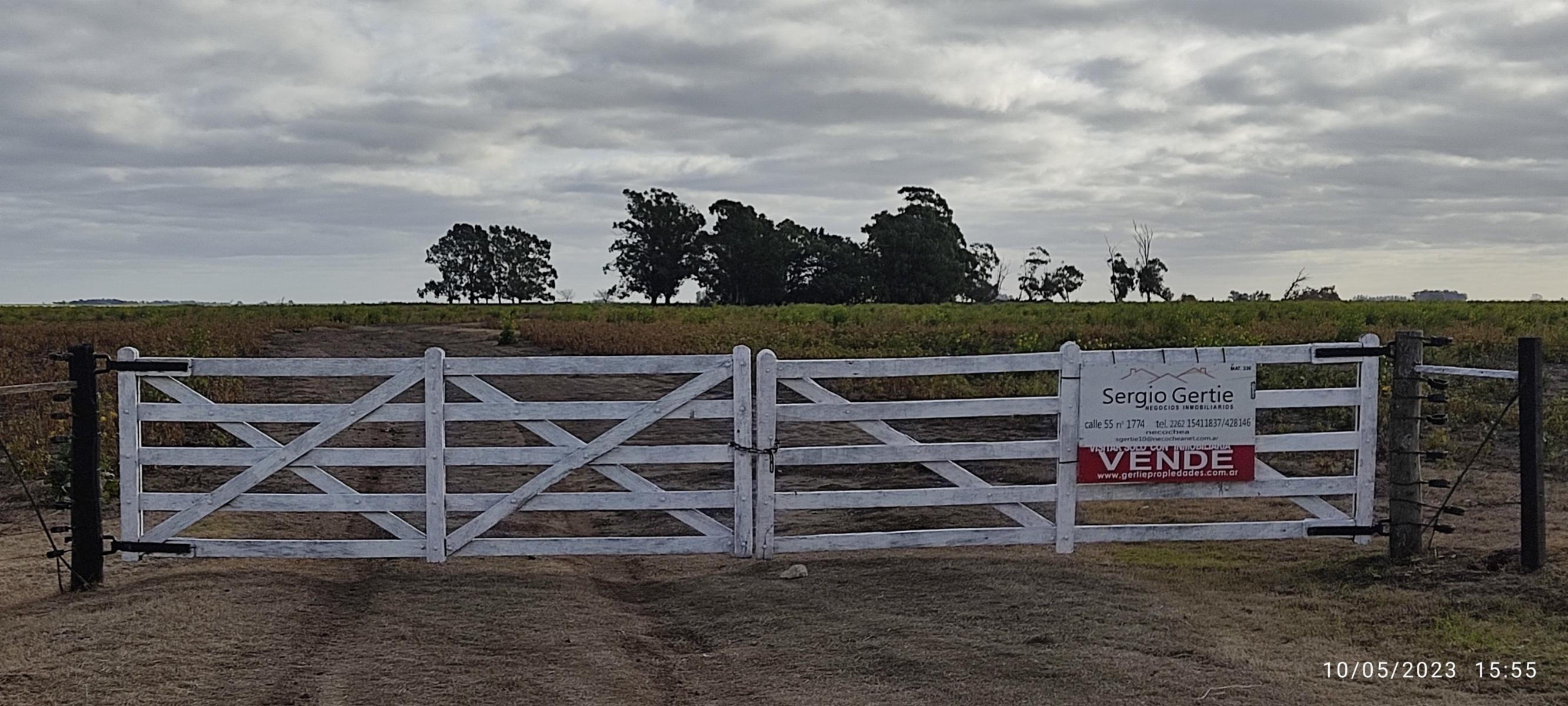 VENDO 178 HAS DE CAMPO MIXTO EN JUAN N FERNANDEZ - 57