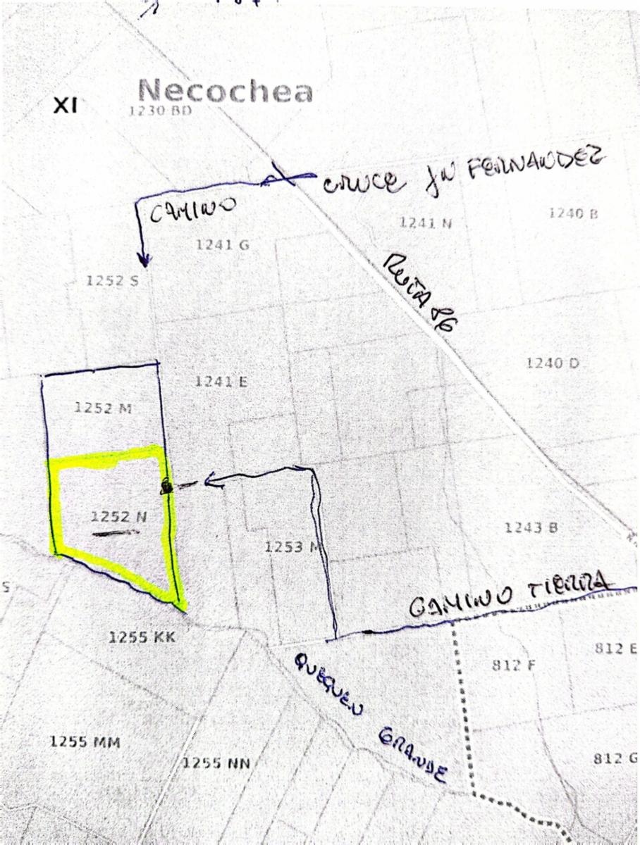 VENDO 178 HAS DE CAMPO MIXTO EN JUAN N FERNANDEZ - 63
