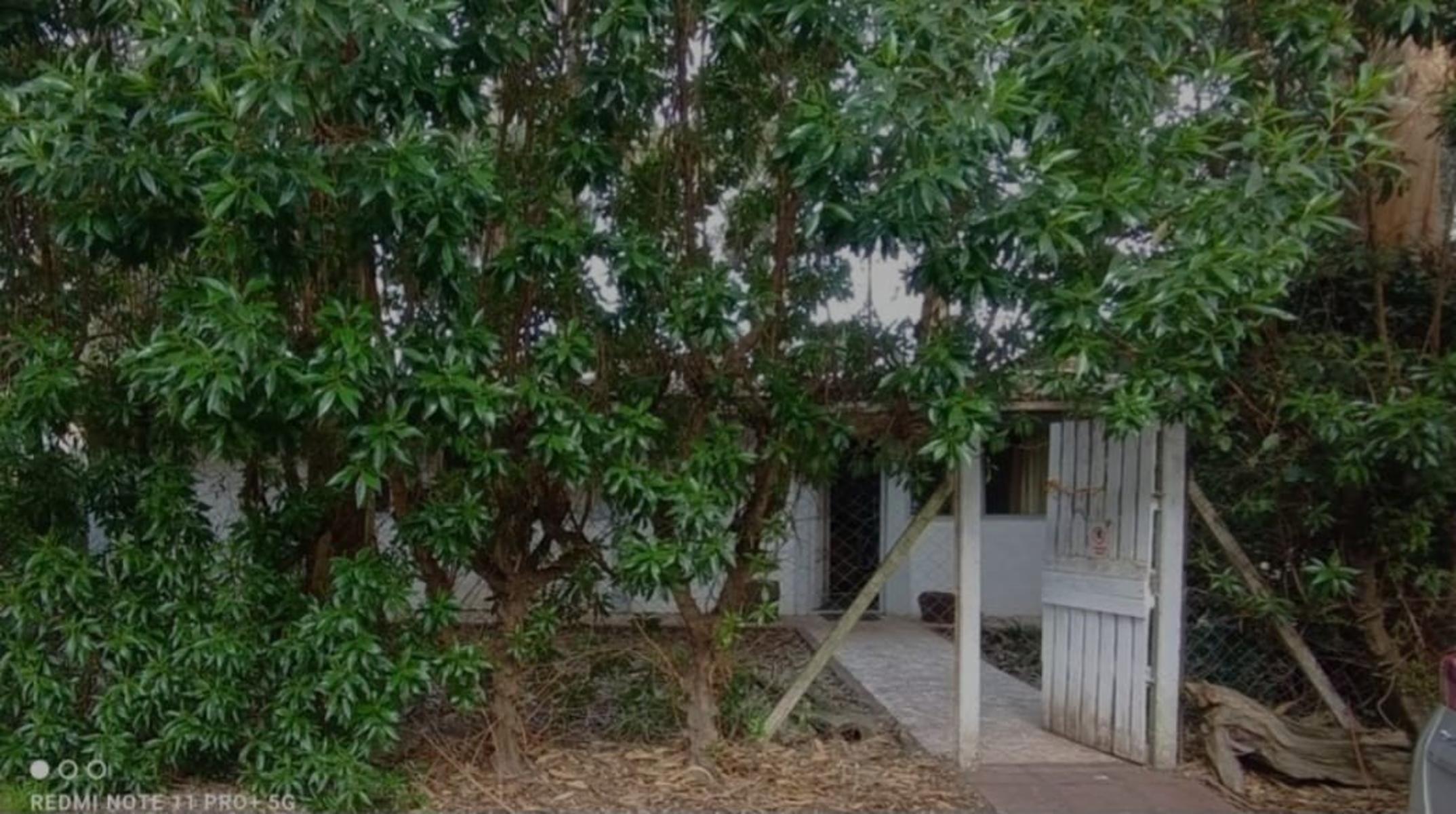 VENDO CABAÑA MÁS DEPARTAMENTO EN EL BOSQUE DE PERALTA RAMOS — foto 4