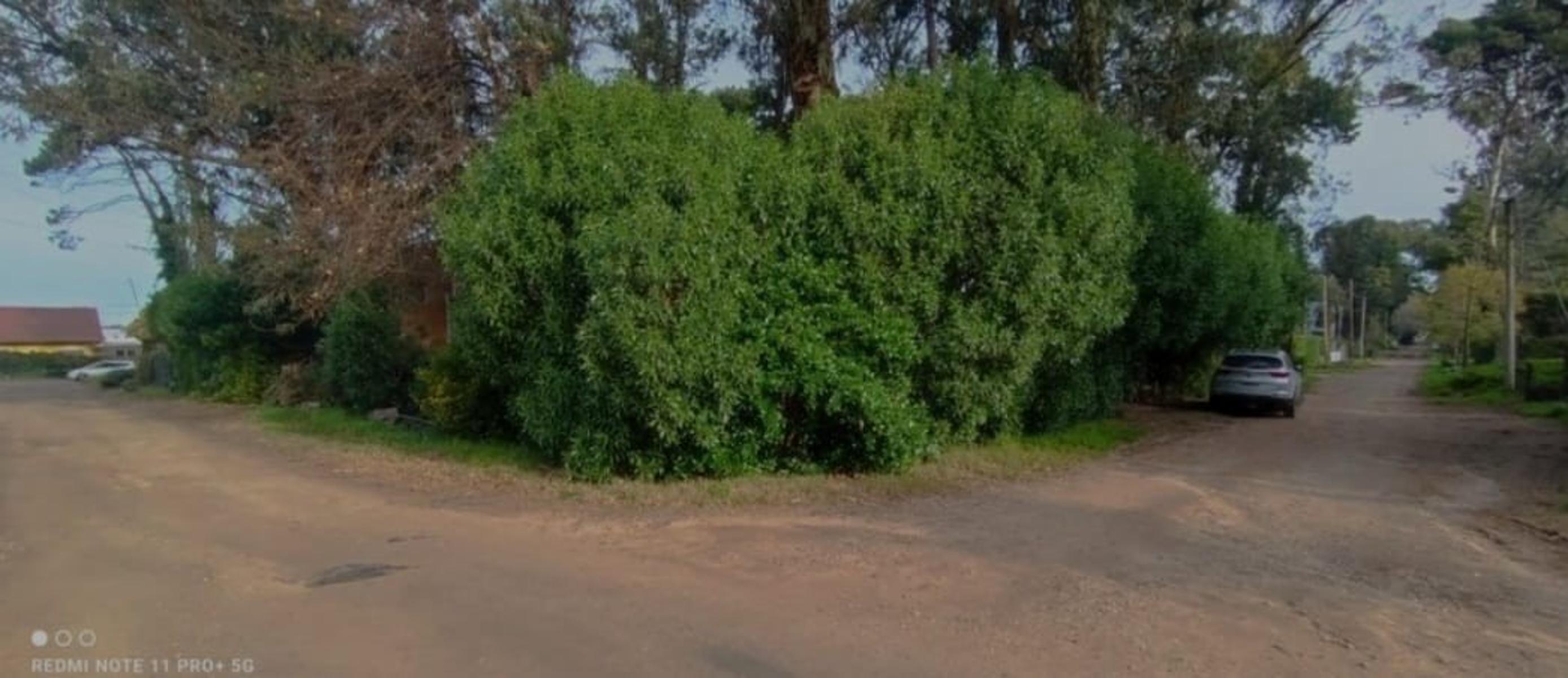VENDO CABAÑA MÁS DEPARTAMENTO EN EL BOSQUE DE PERALTA RAMOS — foto 5