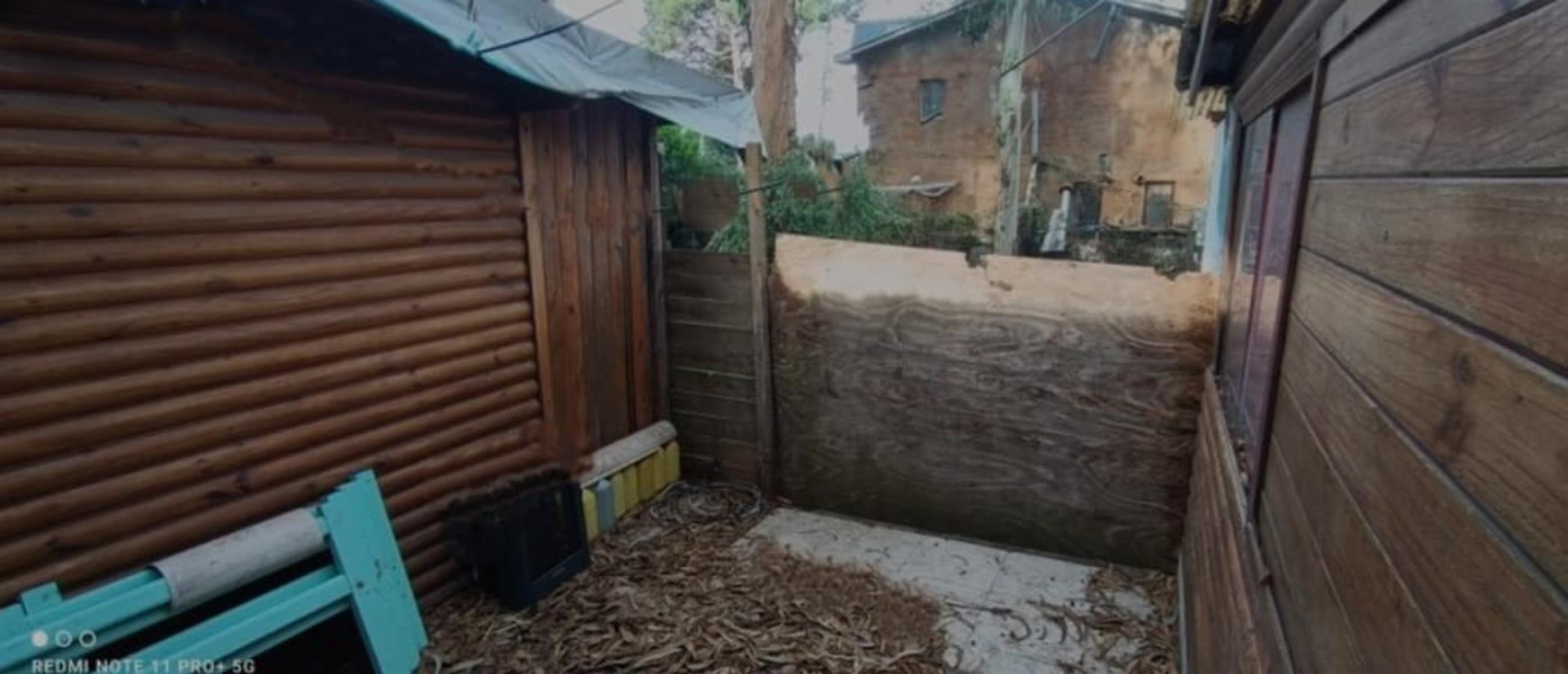VENDO CABAÑA MÁS DEPARTAMENTO EN EL BOSQUE DE PERALTA RAMOS — foto 6