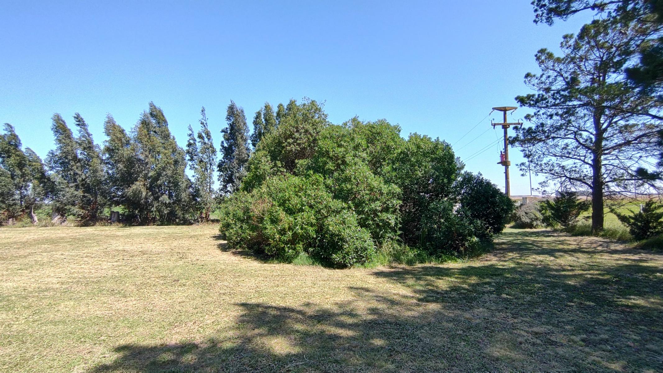 VENDO QUINTA (5 ha) EN NECOCHEA - 1