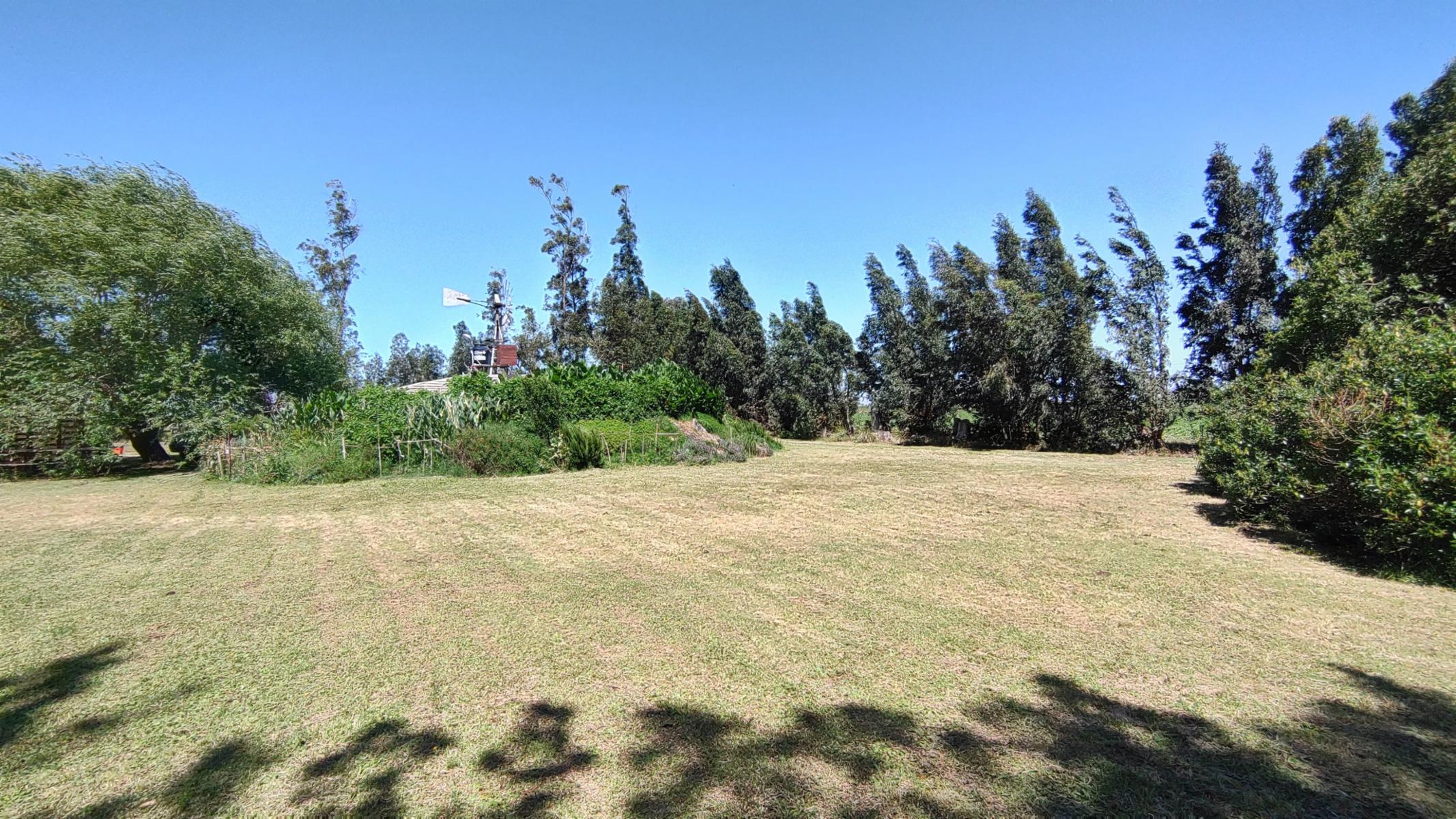 VENDO QUINTA (5 ha) EN NECOCHEA - 2