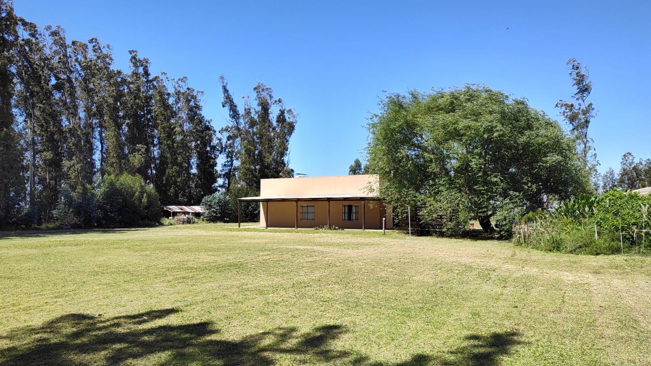VENDO QUINTA (5 ha) EN NECOCHEA - 3