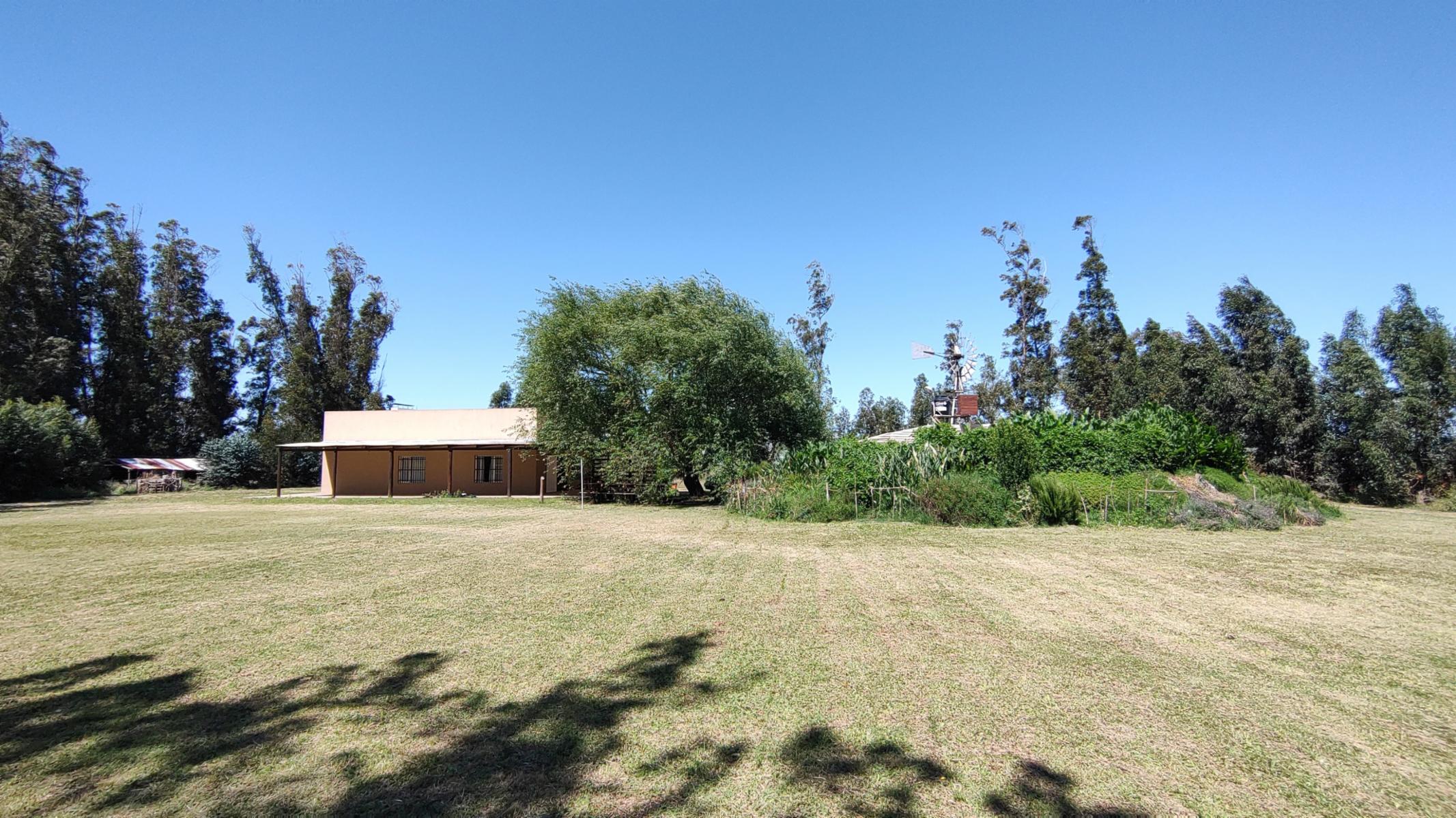 VENDO QUINTA (5 ha) EN NECOCHEA - 4