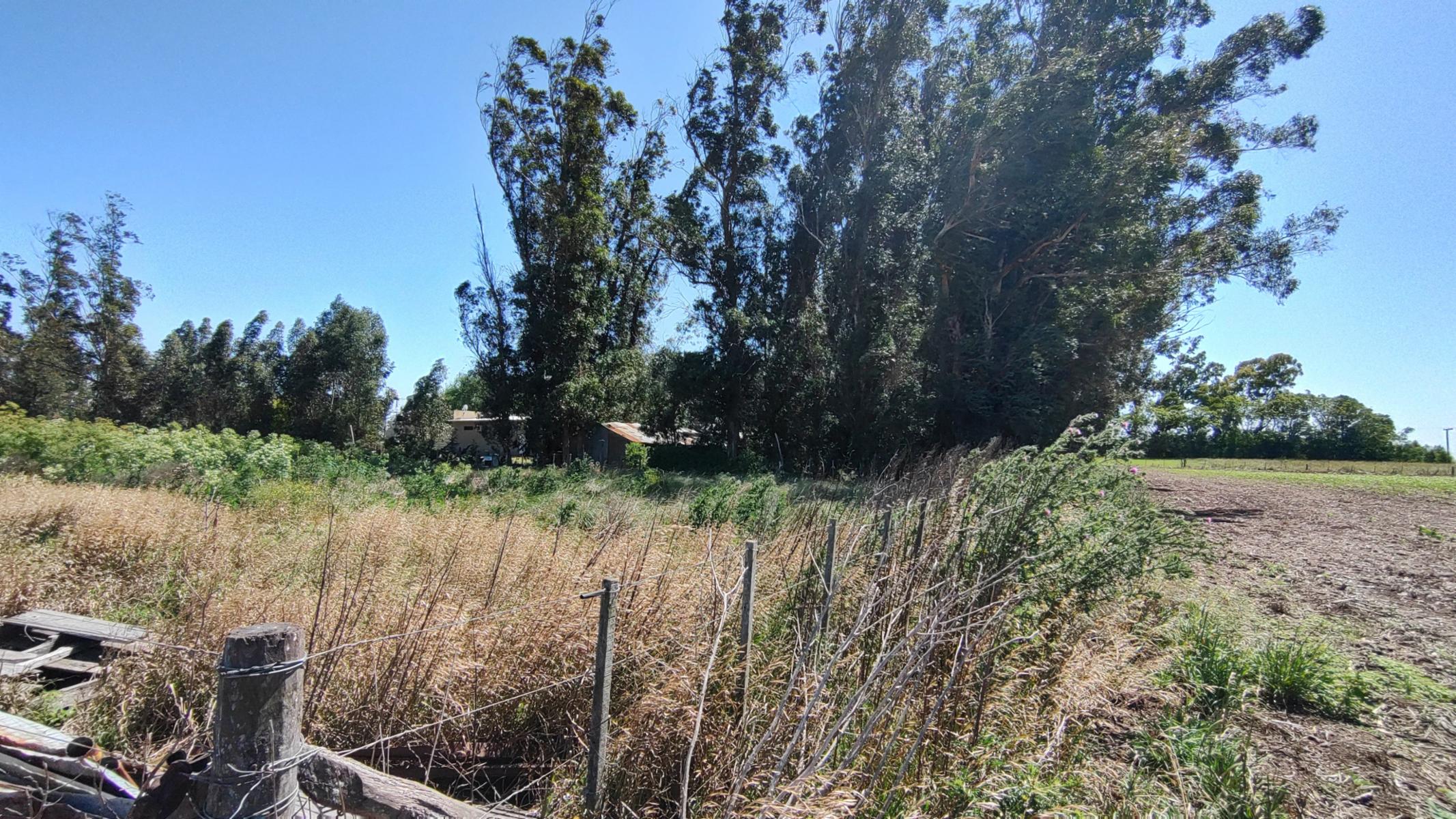 VENDO QUINTA (5 ha) EN NECOCHEA - 6