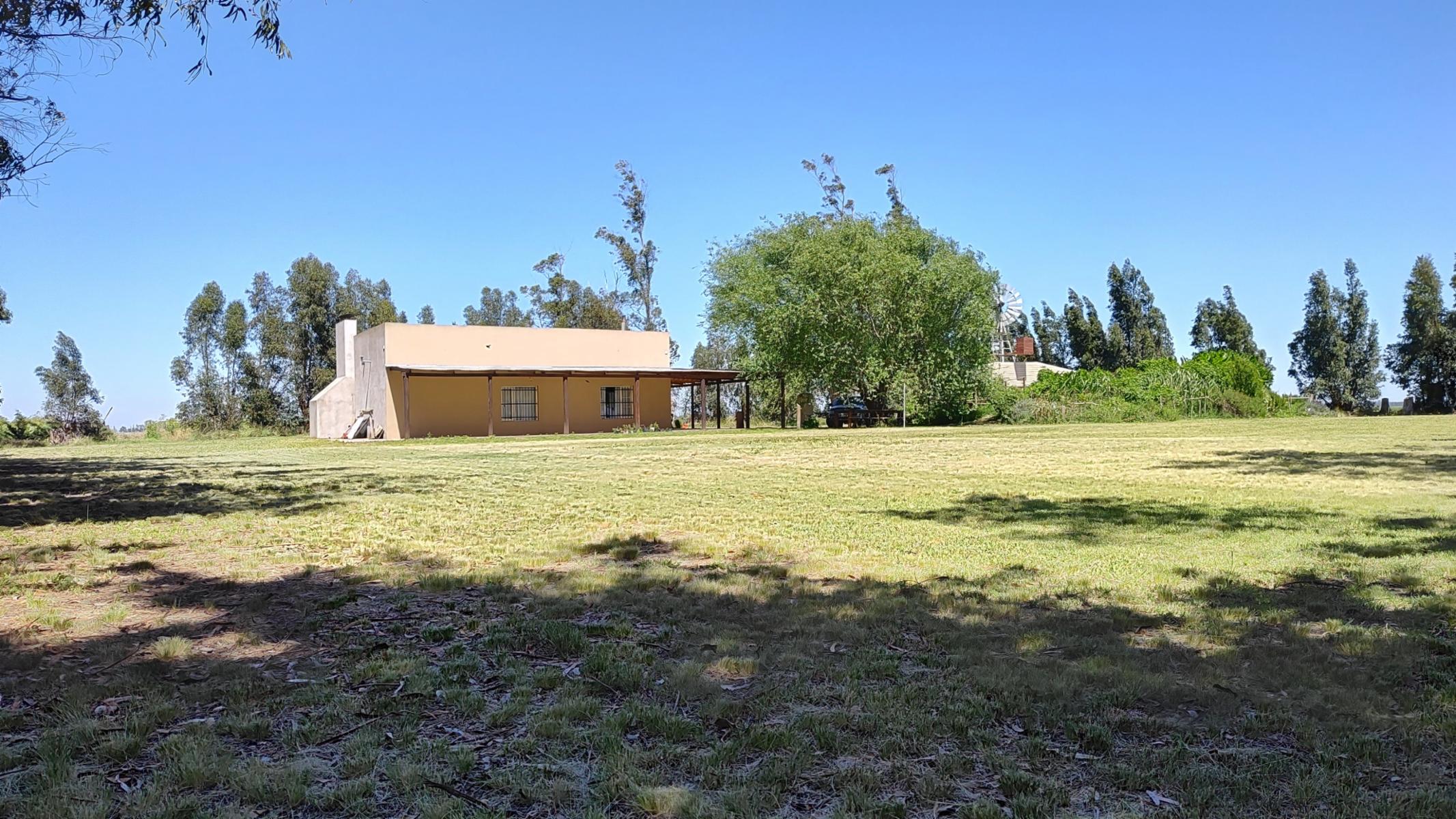 VENDO QUINTA (5 ha) EN NECOCHEA - 15
