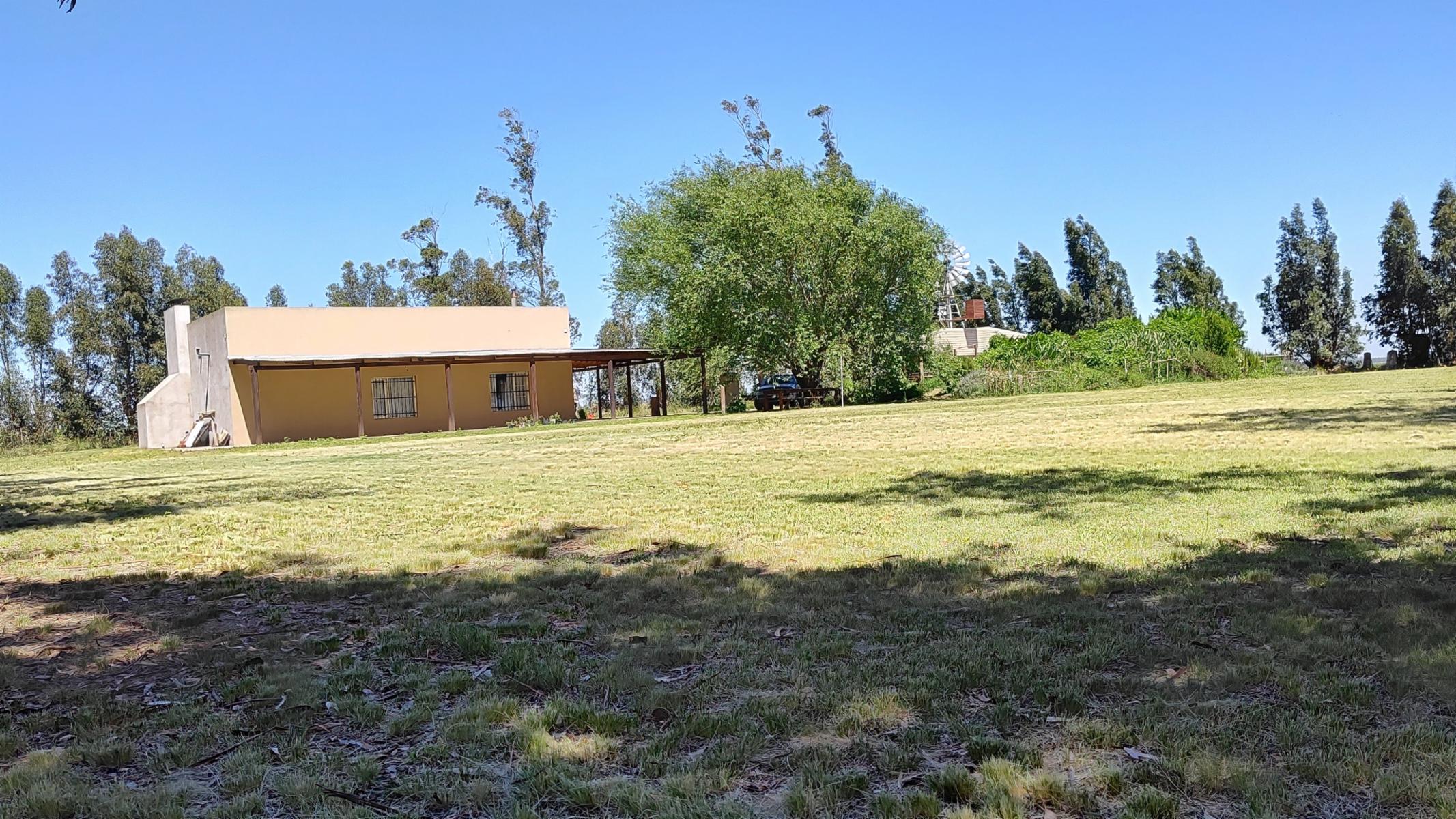 VENDO QUINTA (5 ha) EN NECOCHEA - 16