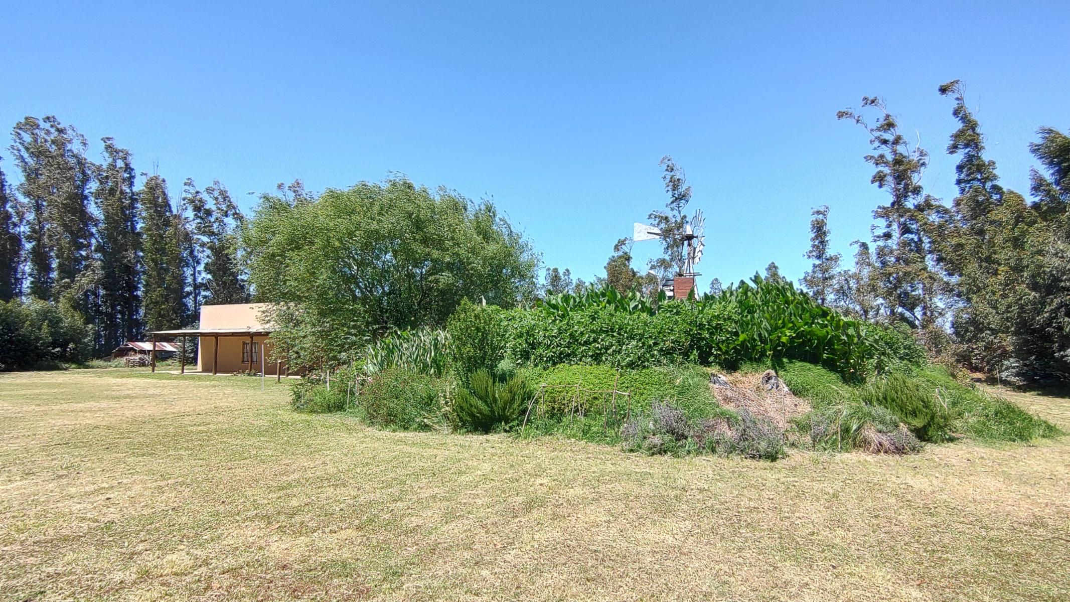 VENDO QUINTA (5 ha) EN NECOCHEA - 19