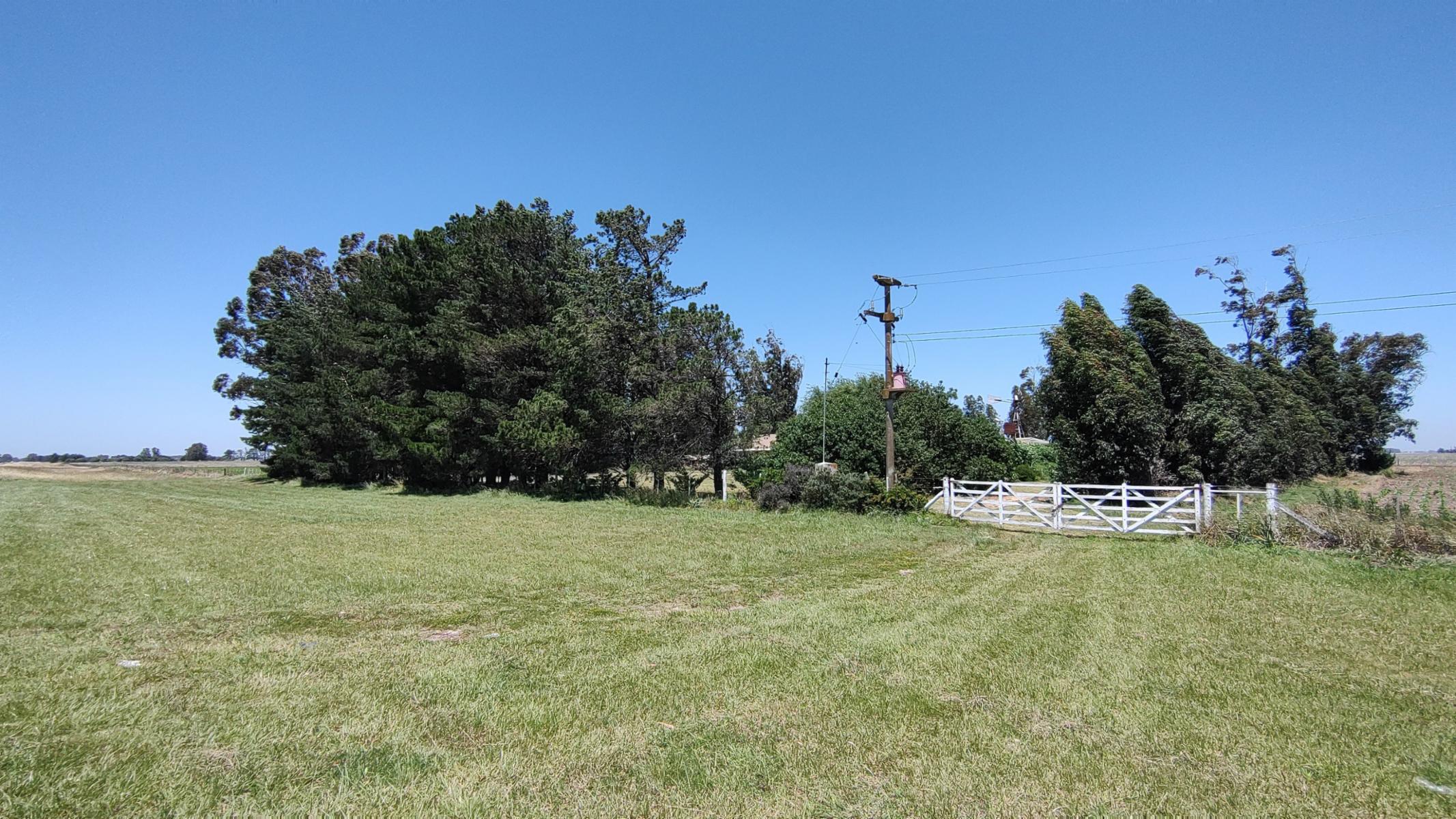 VENDO QUINTA (5 ha) EN NECOCHEA - 42