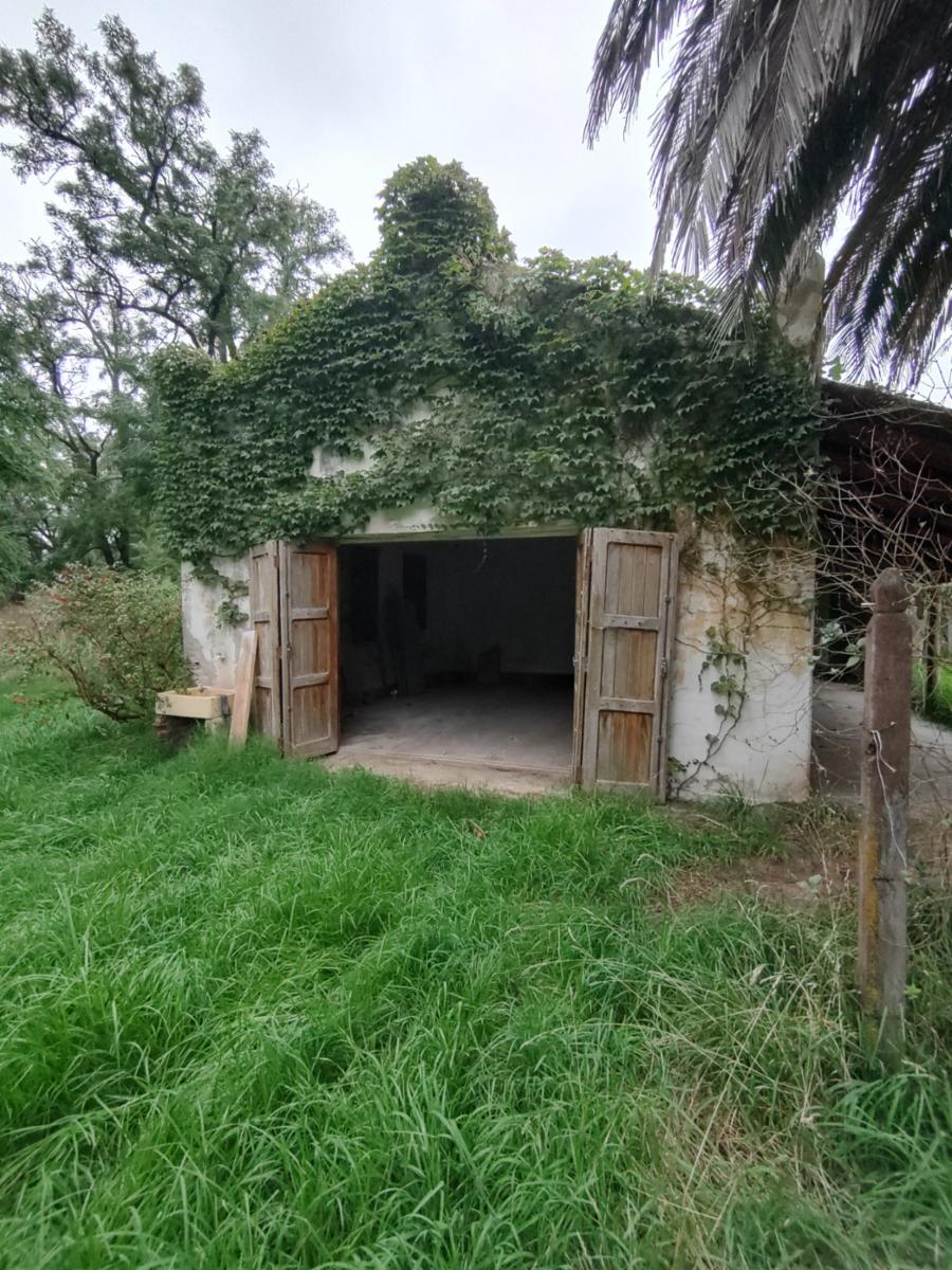 VENDO QUINTA EN ORENSE - 2