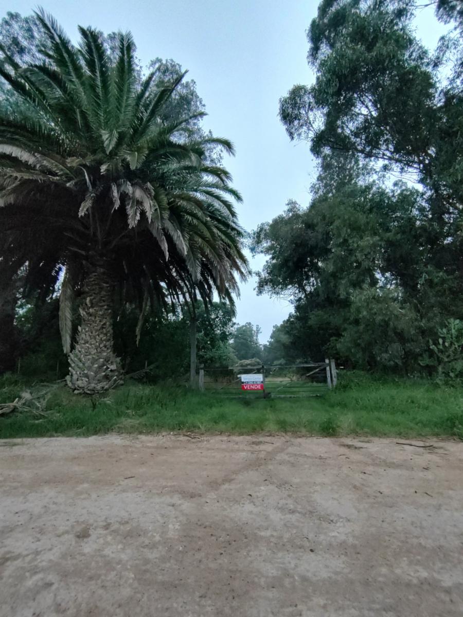 VENDO QUINTA EN ORENSE - 7