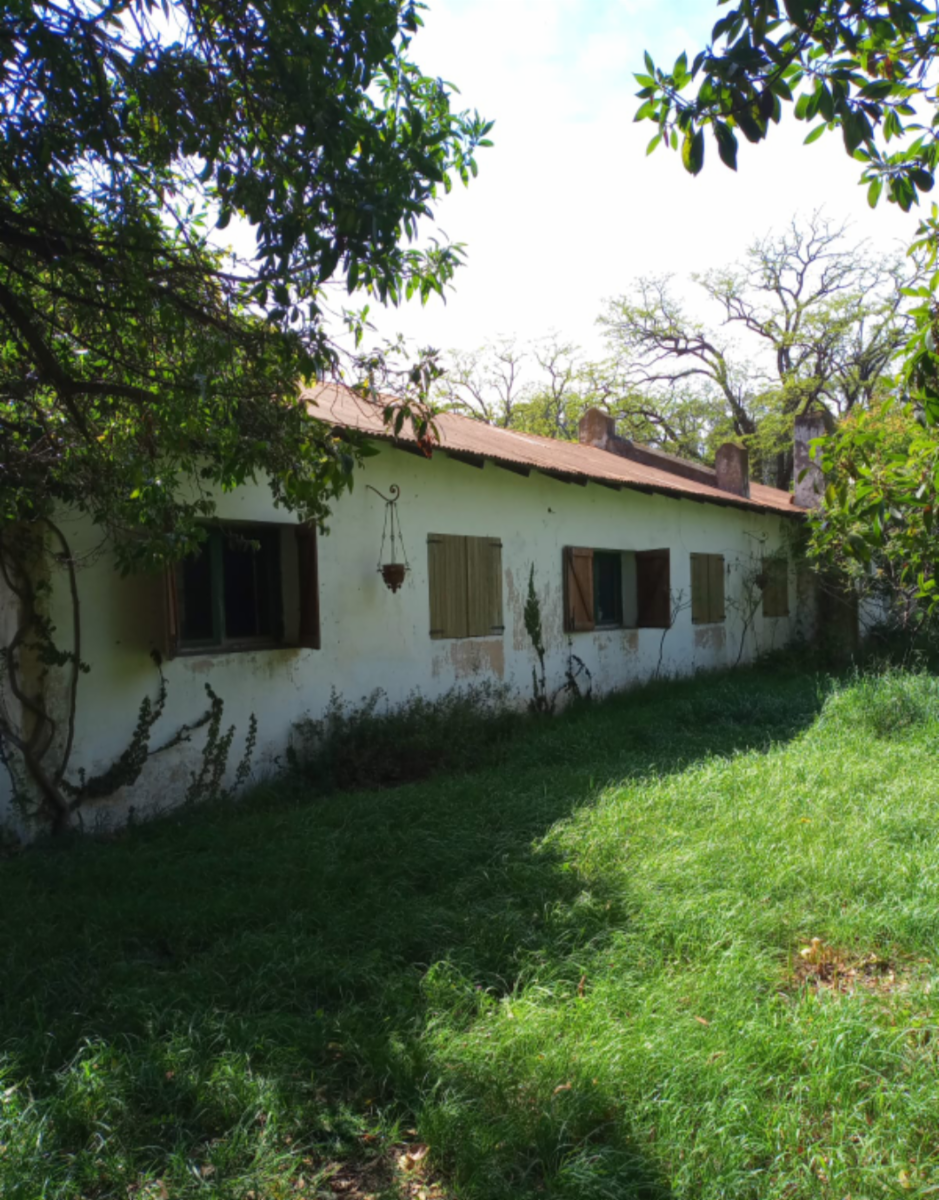VENDO QUINTA EN ORENSE - 23