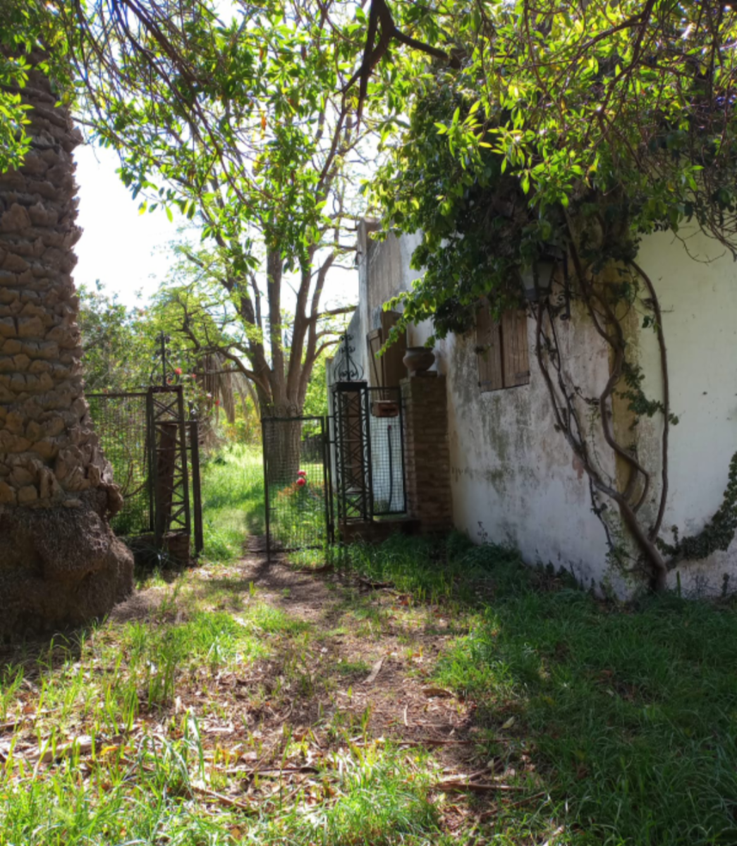 VENDO QUINTA EN ORENSE - 28