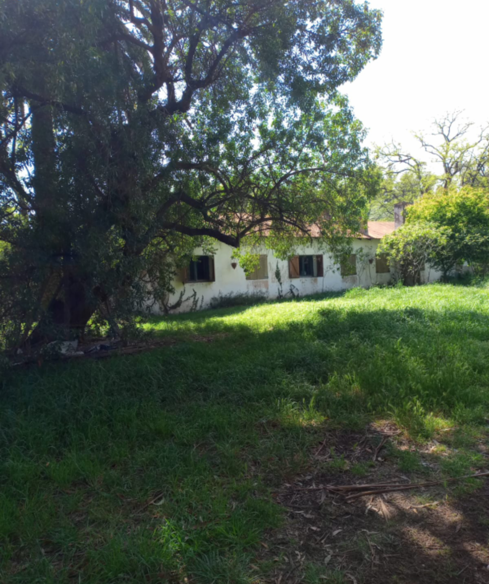 VENDO QUINTA EN ORENSE - 30