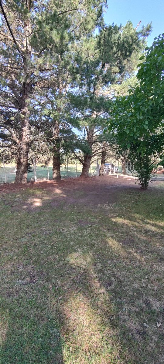 VENDO QUINTA CON DOS CASAS Y PISCINA - 2