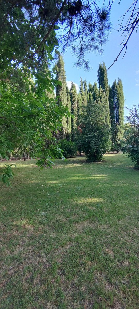 VENDO QUINTA CON DOS CASAS Y PISCINA - 3