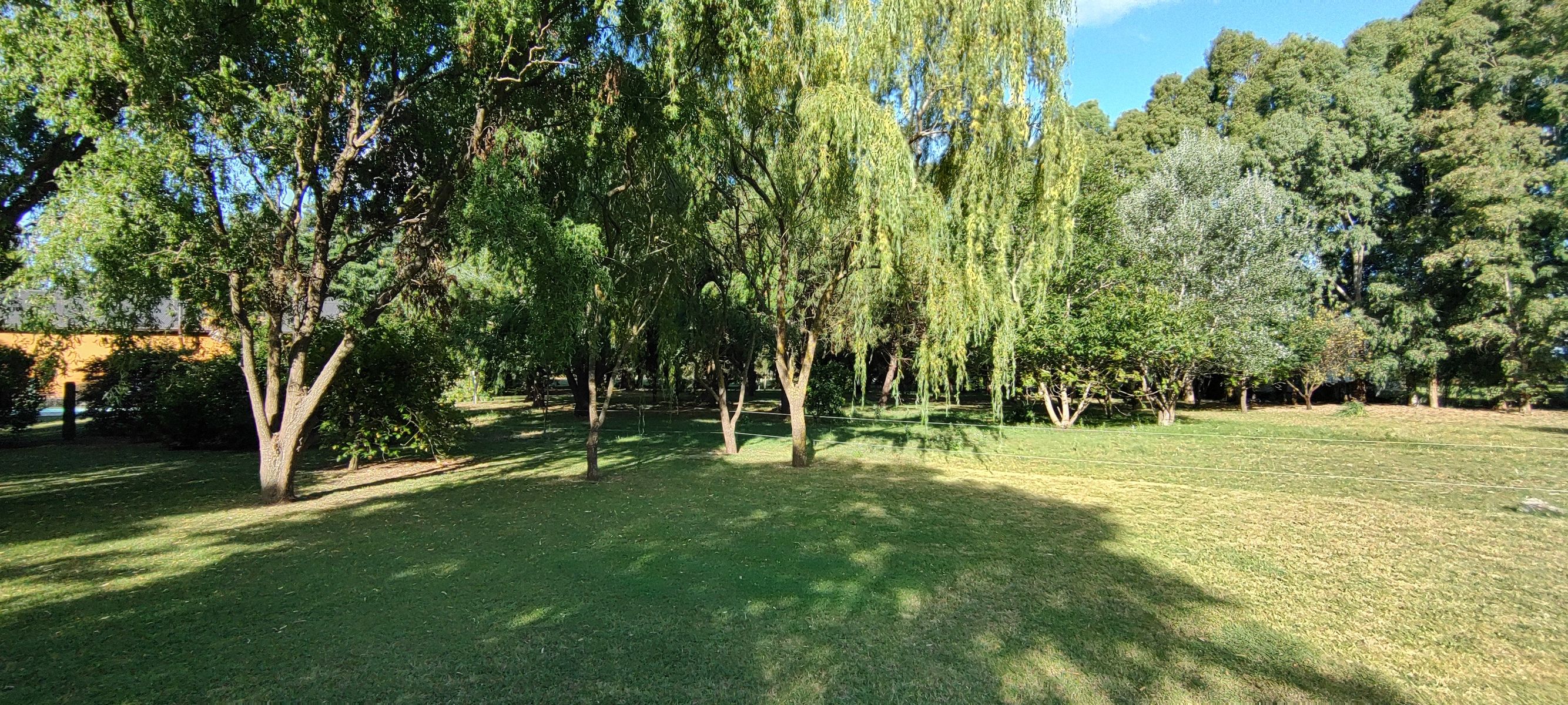 VENDO QUINTA CON DOS CASAS Y PISCINA - 10