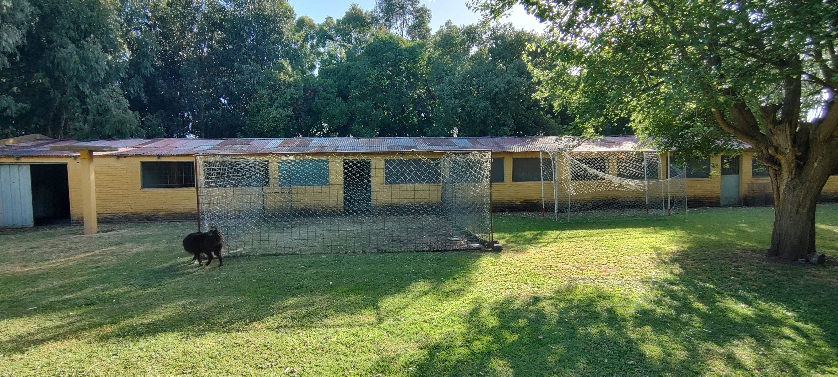 VENDO QUINTA CON DOS CASAS Y PISCINA - 11