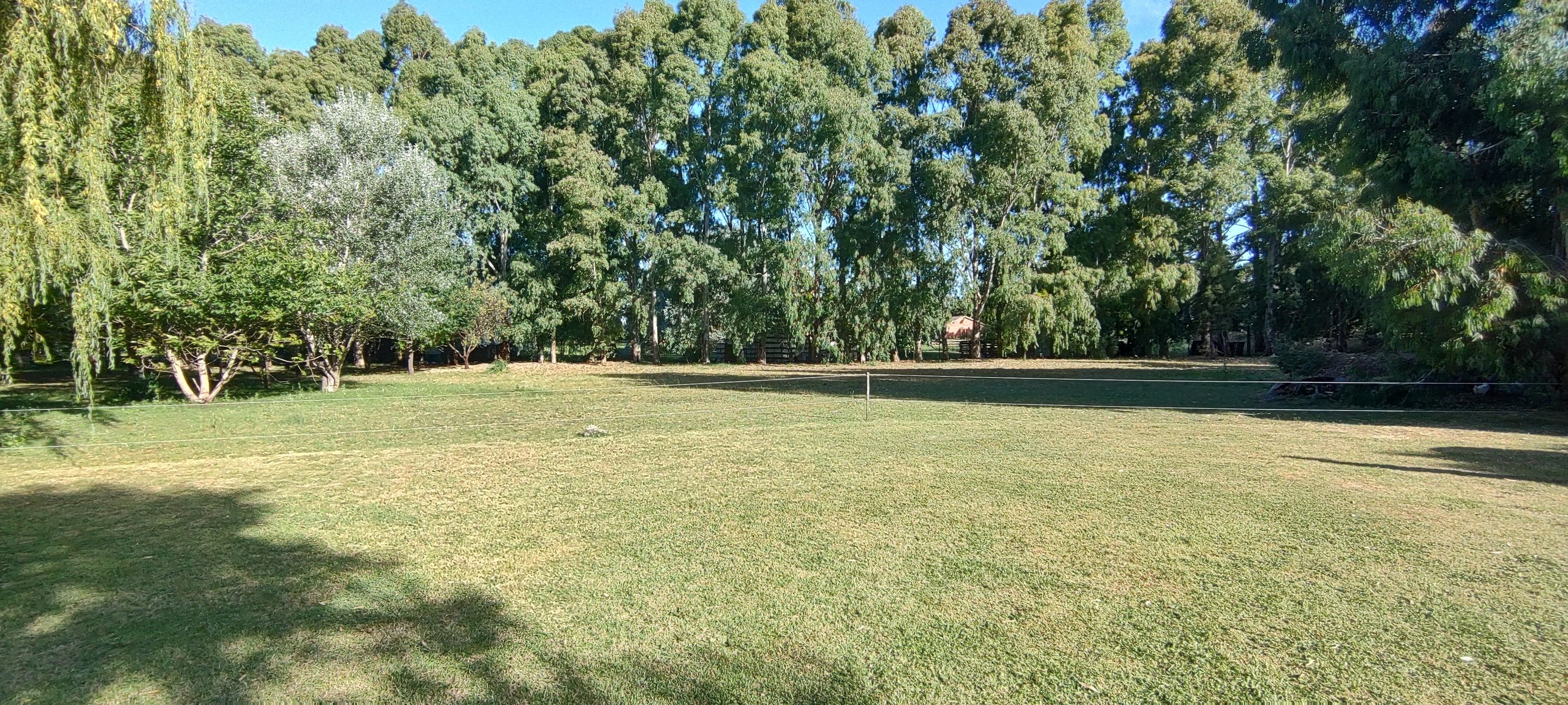 VENDO QUINTA CON DOS CASAS Y PISCINA - 12