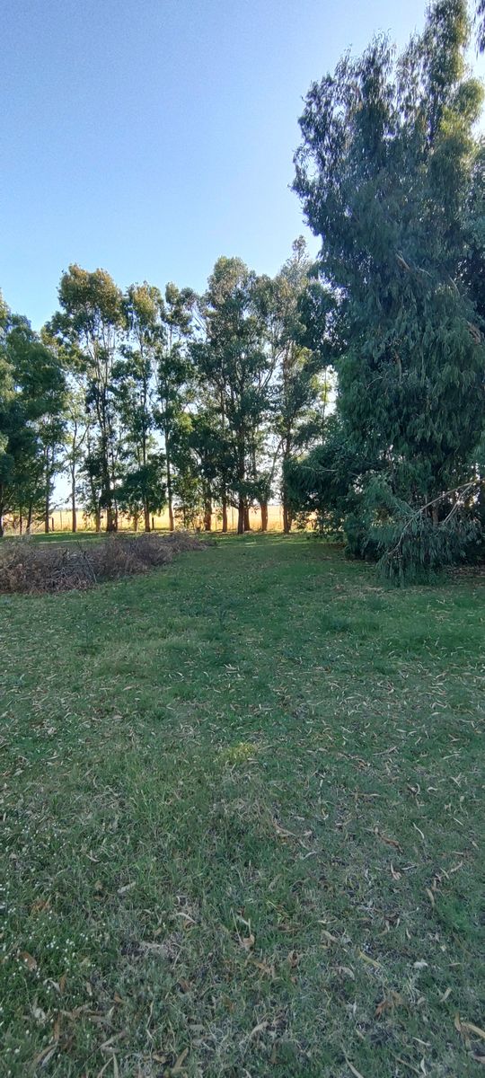 VENDO QUINTA CON DOS CASAS Y PISCINA - 14