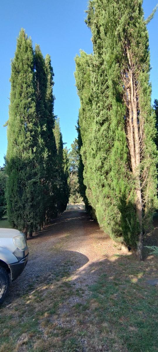 VENDO QUINTA CON DOS CASAS Y PISCINA - 22