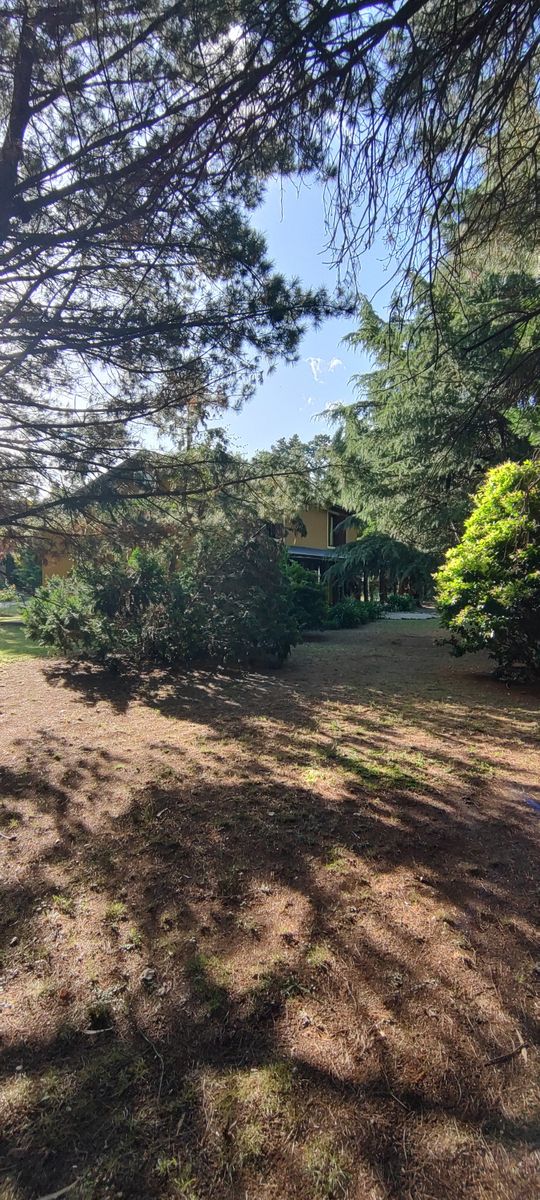 VENDO QUINTA CON DOS CASAS Y PISCINA - 24
