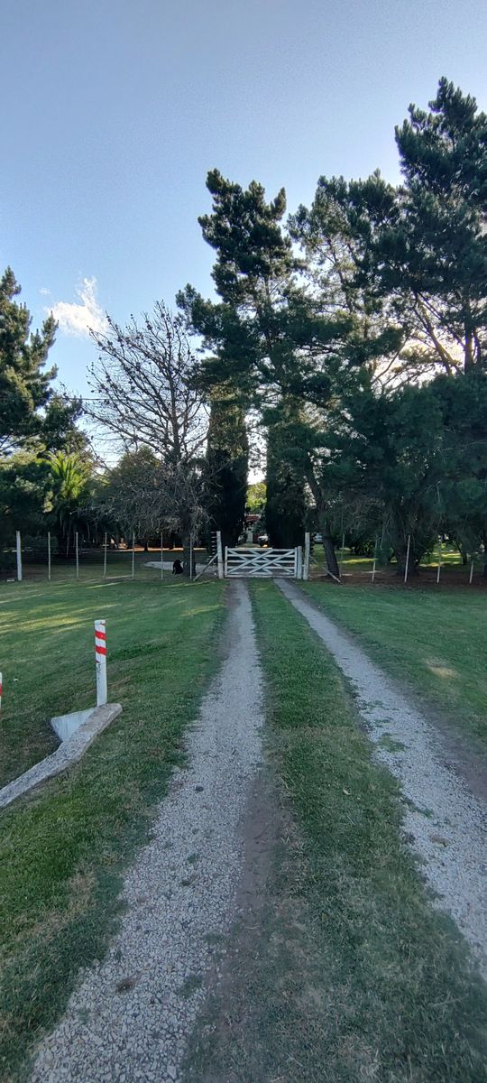 VENDO QUINTA CON DOS CASAS Y PISCINA - 30