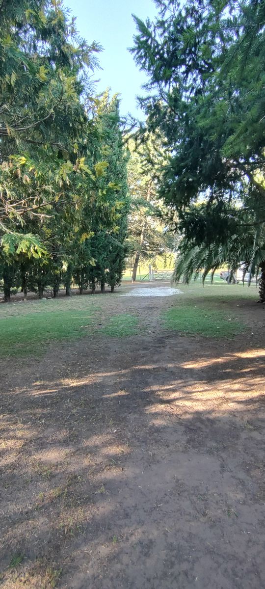 VENDO QUINTA CON DOS CASAS Y PISCINA - 32